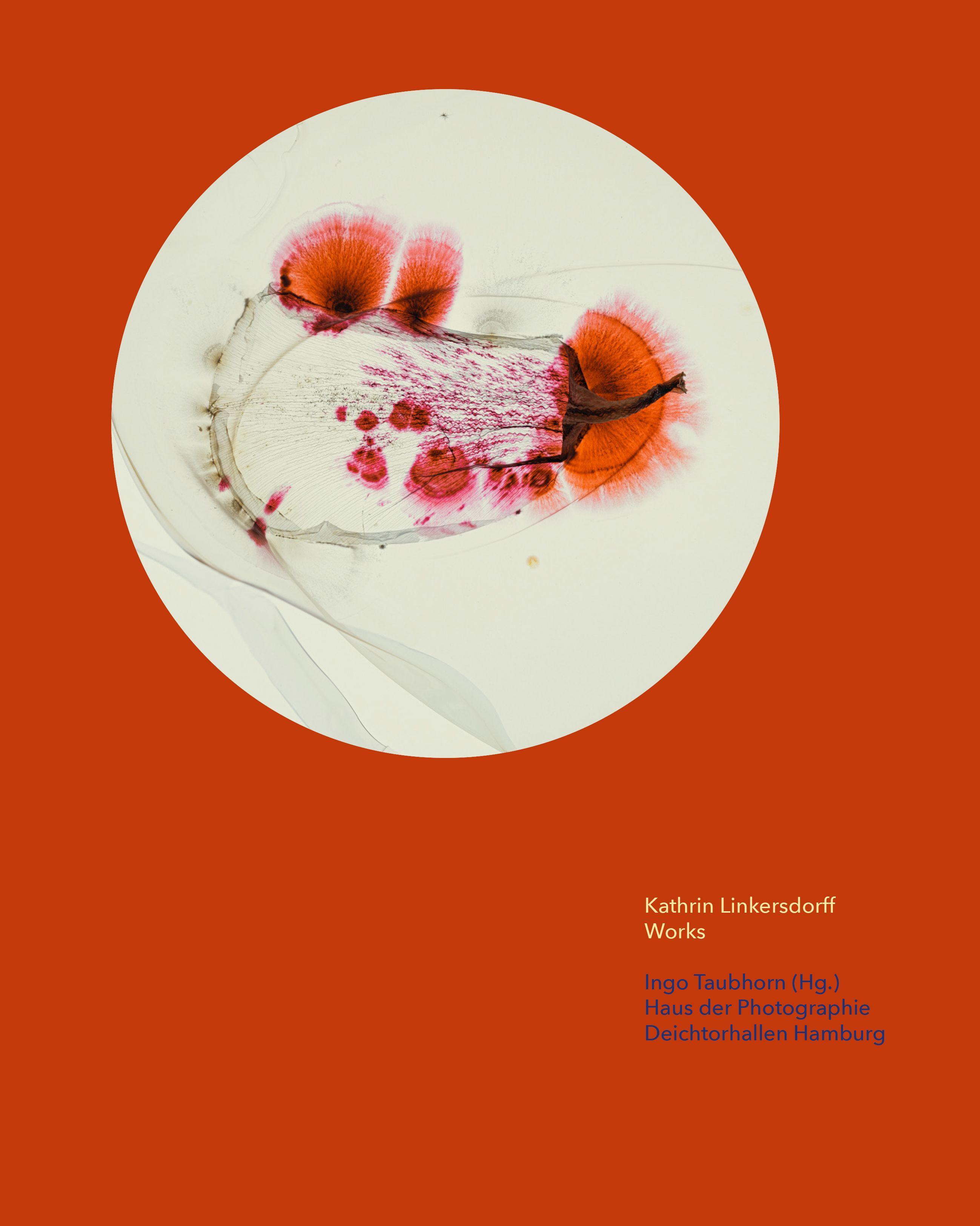 Vorderes Coverbild Kathrin Linkersdorff | Works