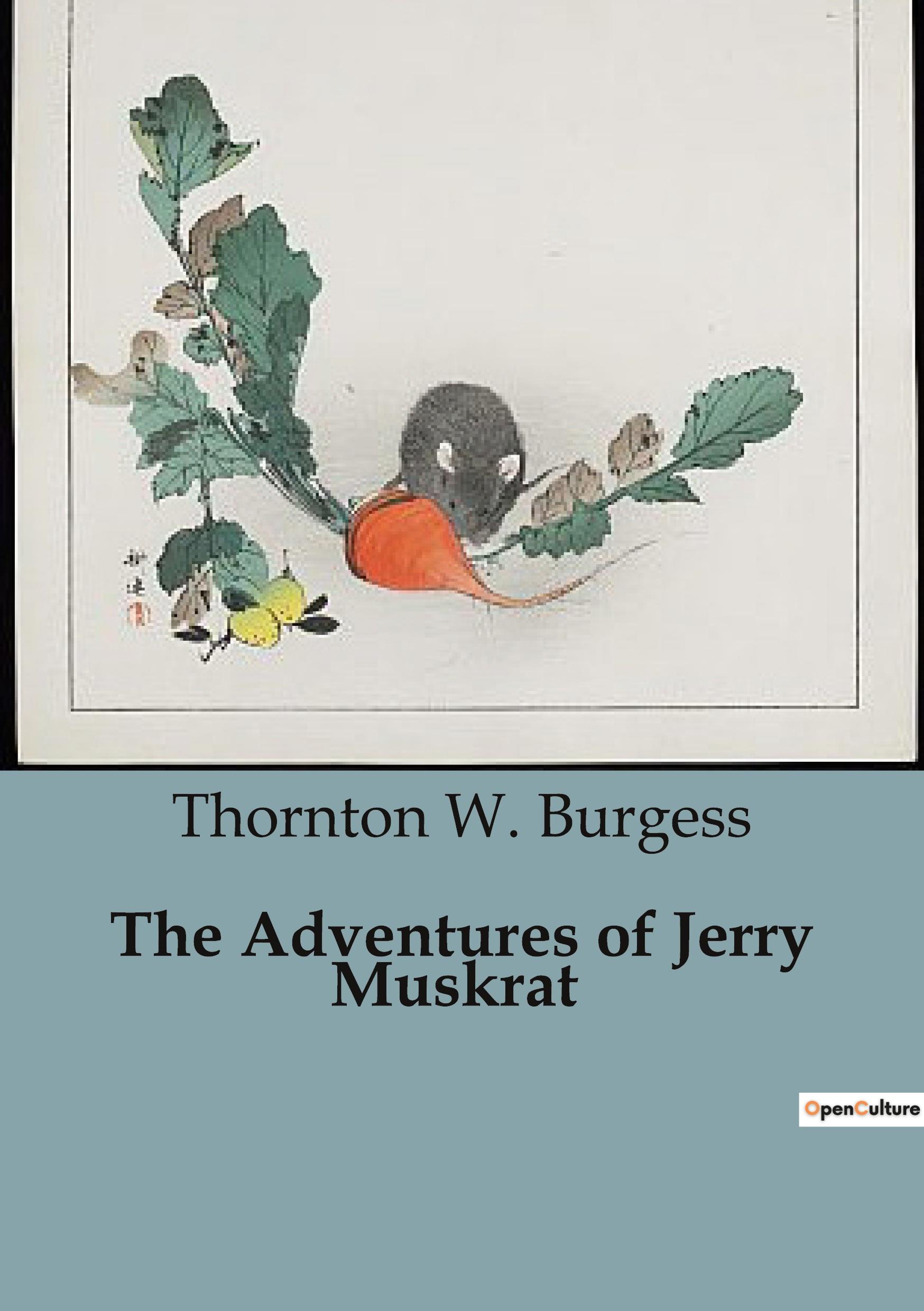 Vorderes Coverbild The Adventures of Jerry Muskrat