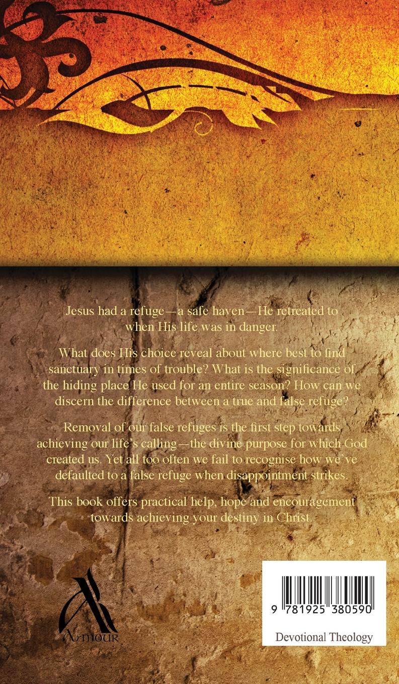 Rückseitencover Hidden in the Cleft