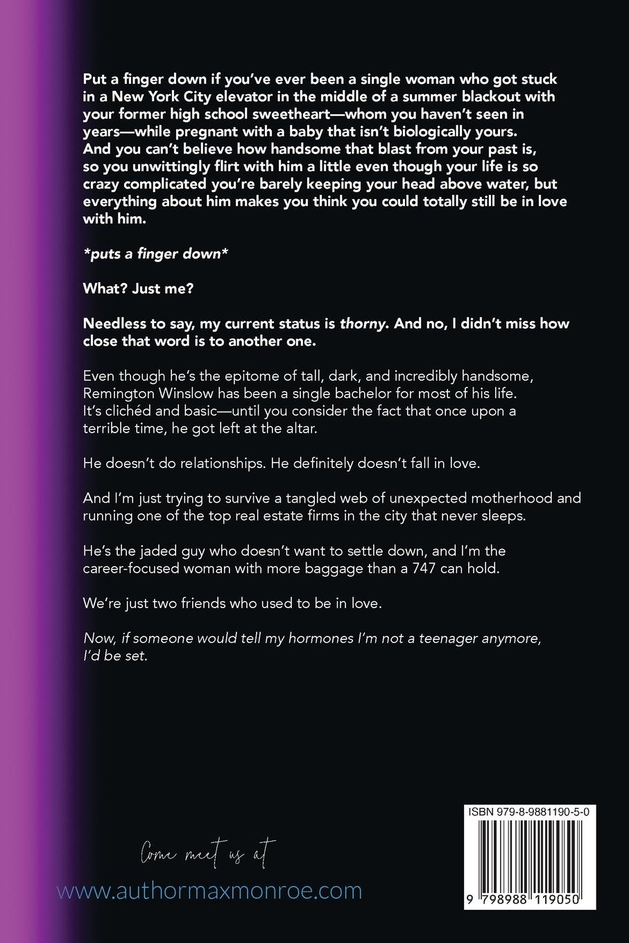 Rückseitencover The Redo