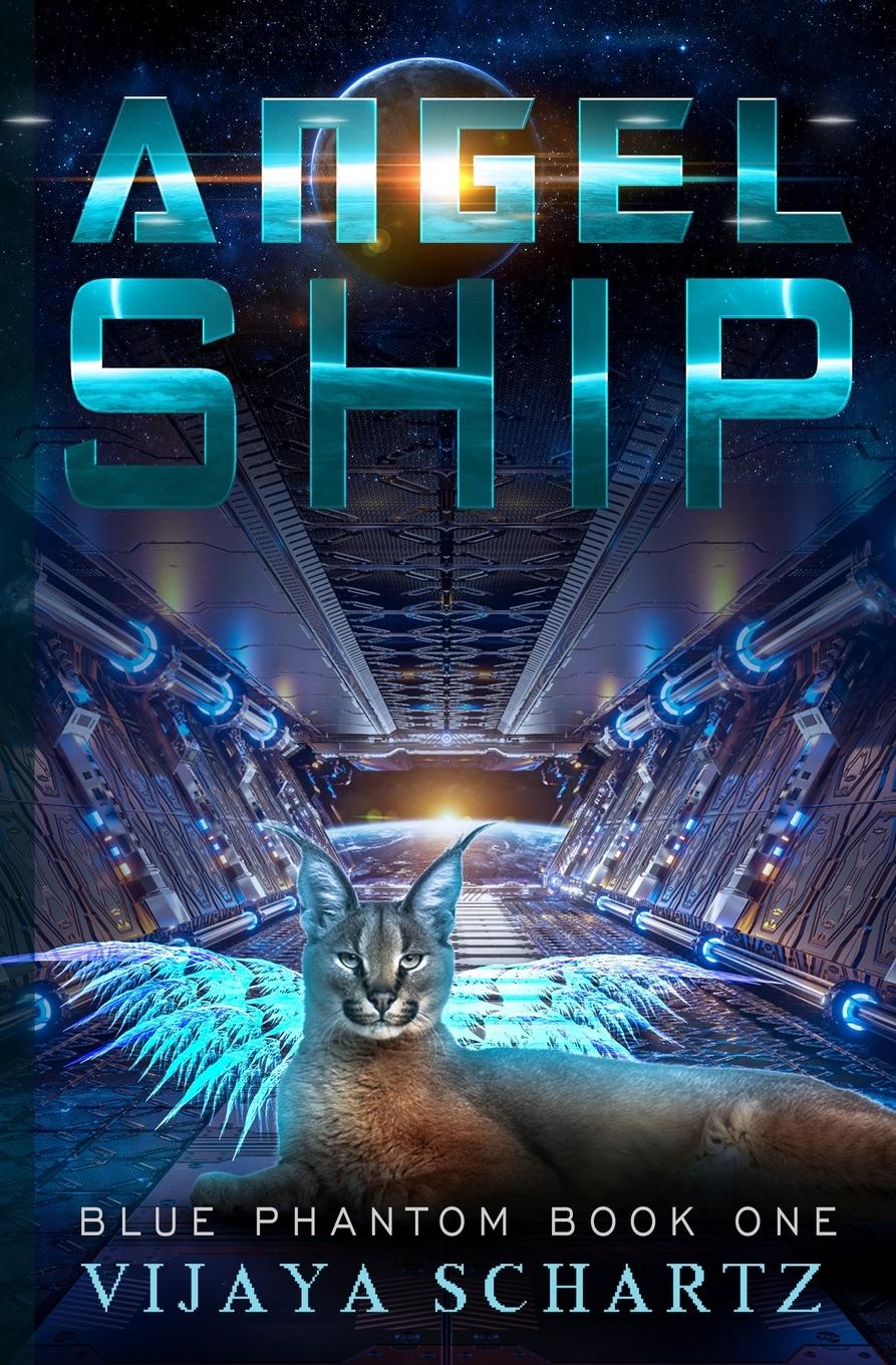 Vorderes Coverbild Angel Ship