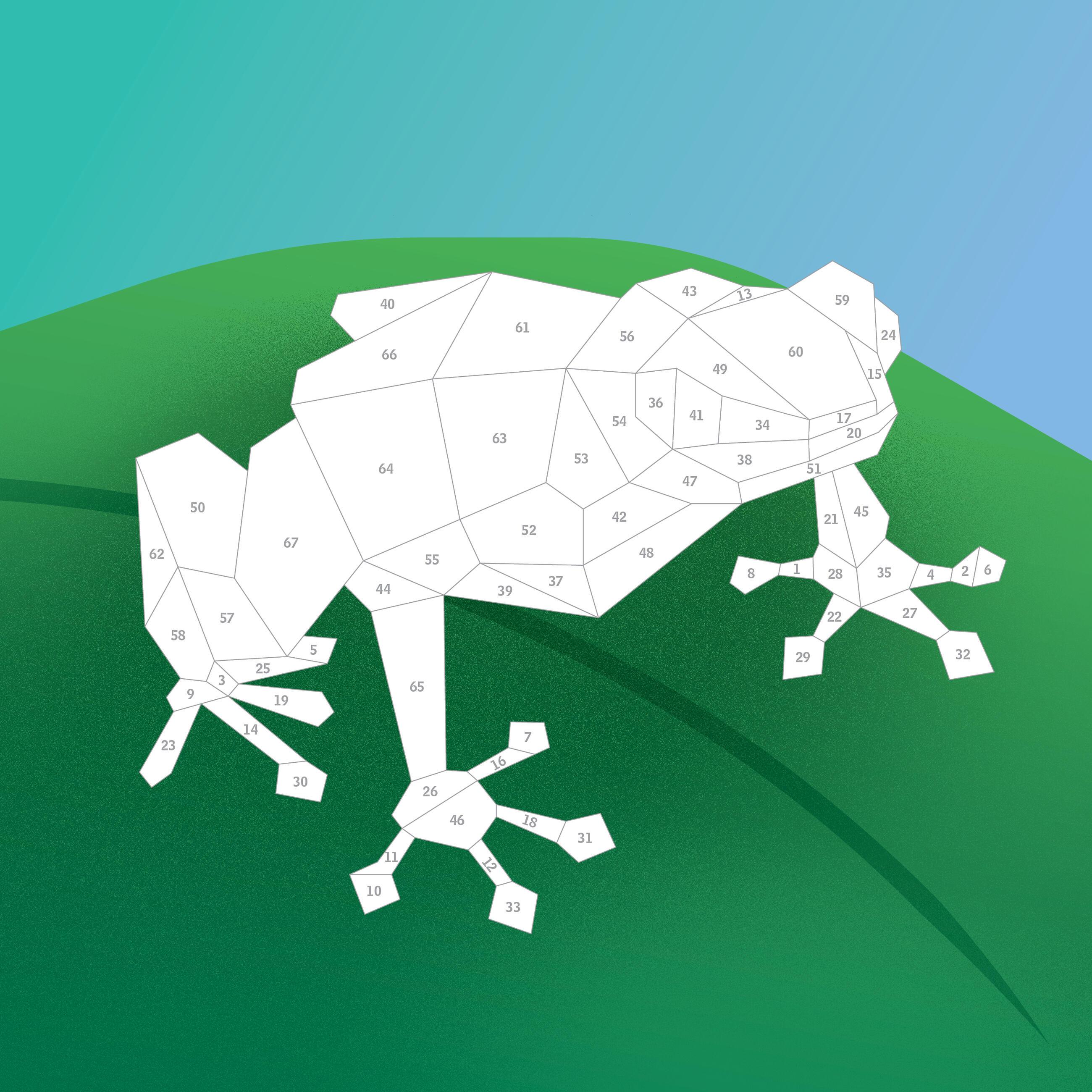 Beispielinhalt (Bild) Paint by Sticker Kids: Rainforest Animals