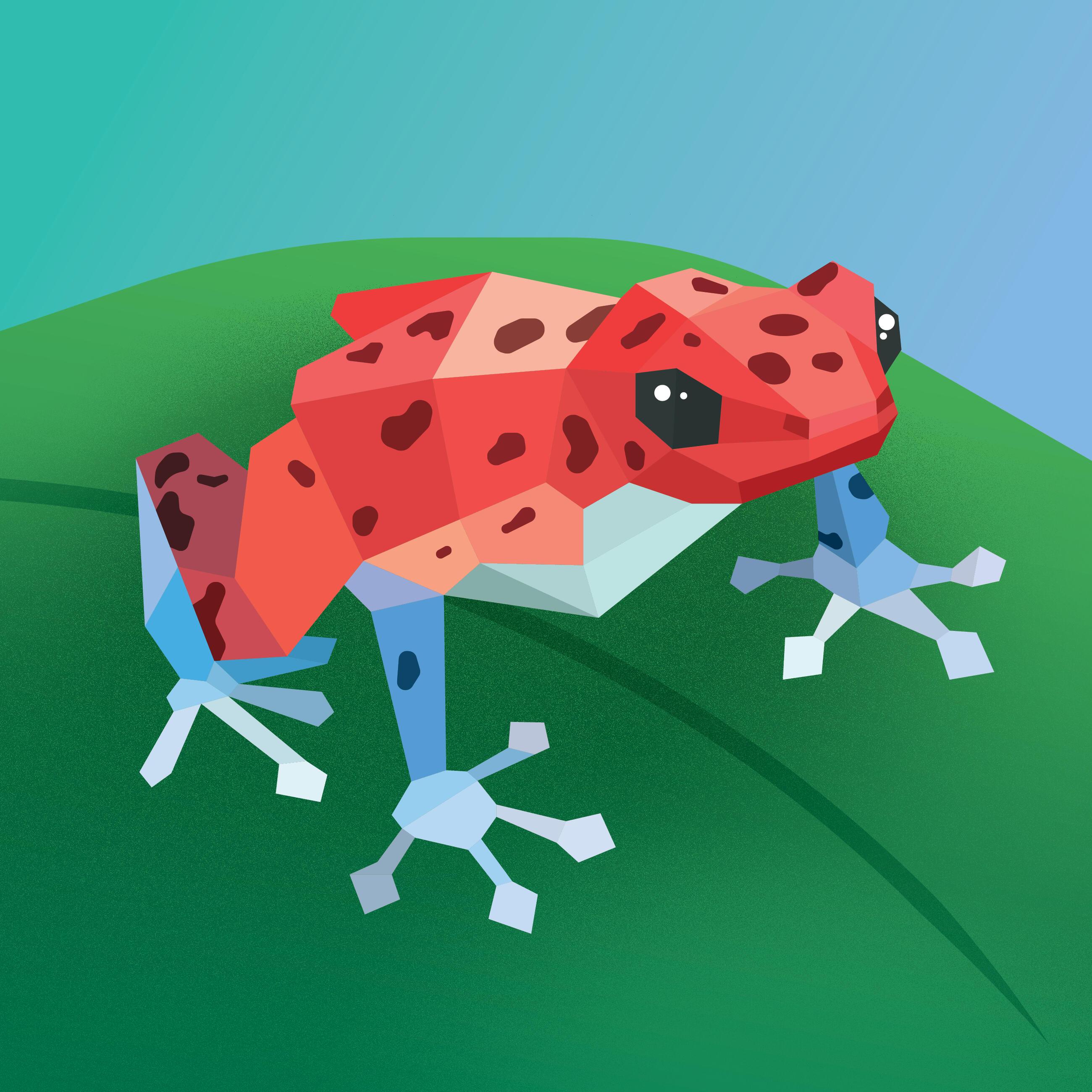 Beispielinhalt (Bild) Paint by Sticker Kids: Rainforest Animals