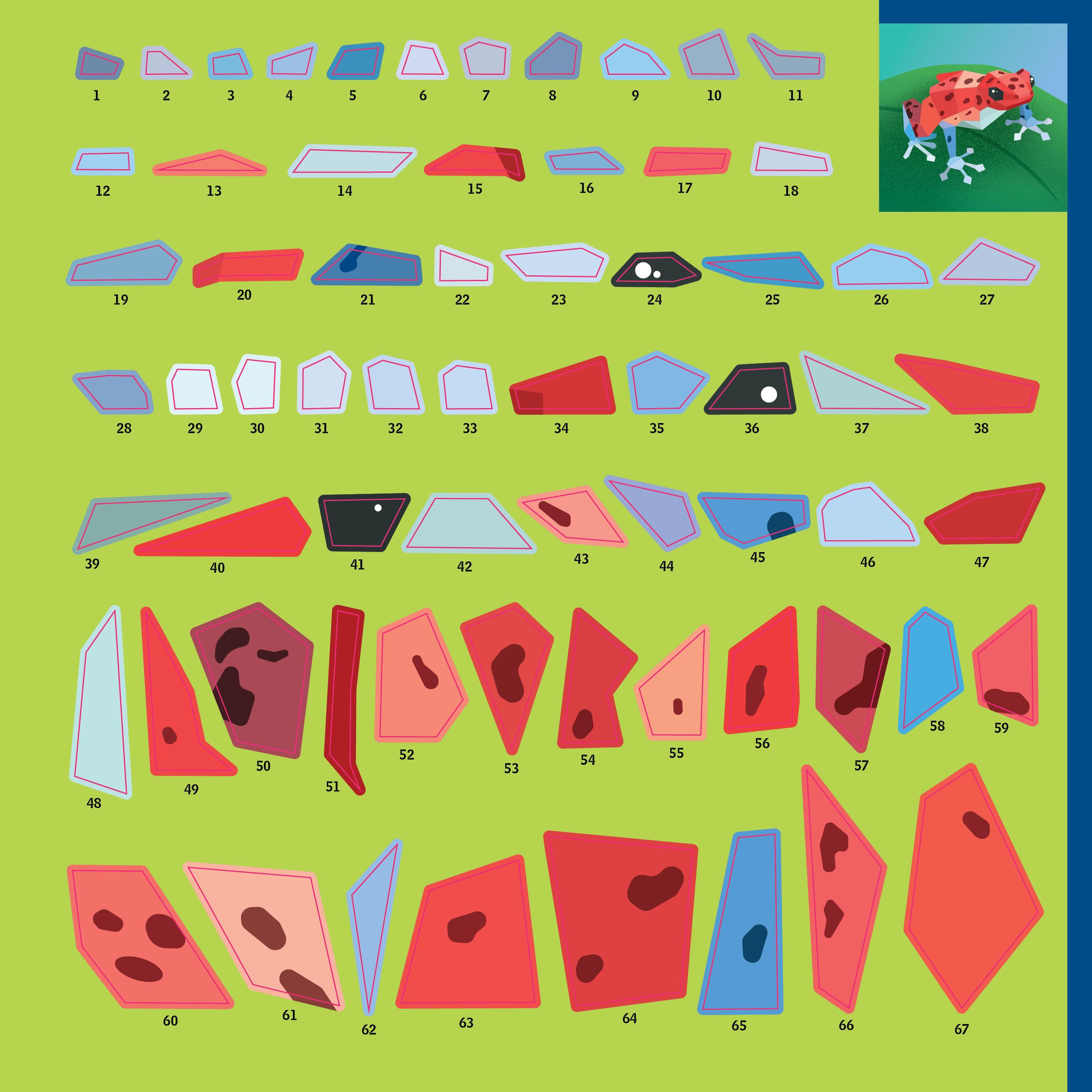 Beispielinhalt (Bild) Paint by Sticker Kids: Rainforest Animals