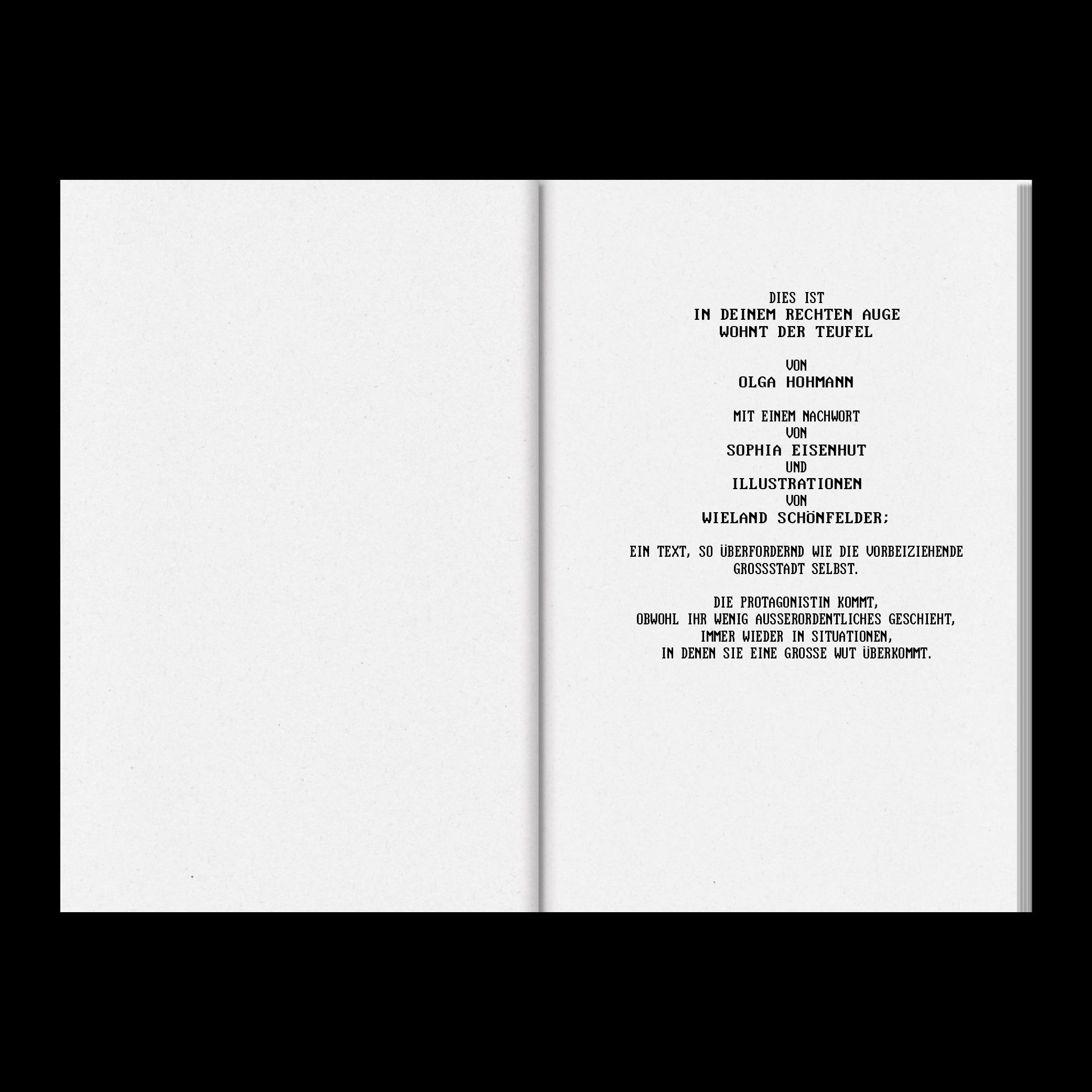 Beispielinhalt (Bild) In deinem rechten Auge wohnt der Teufel