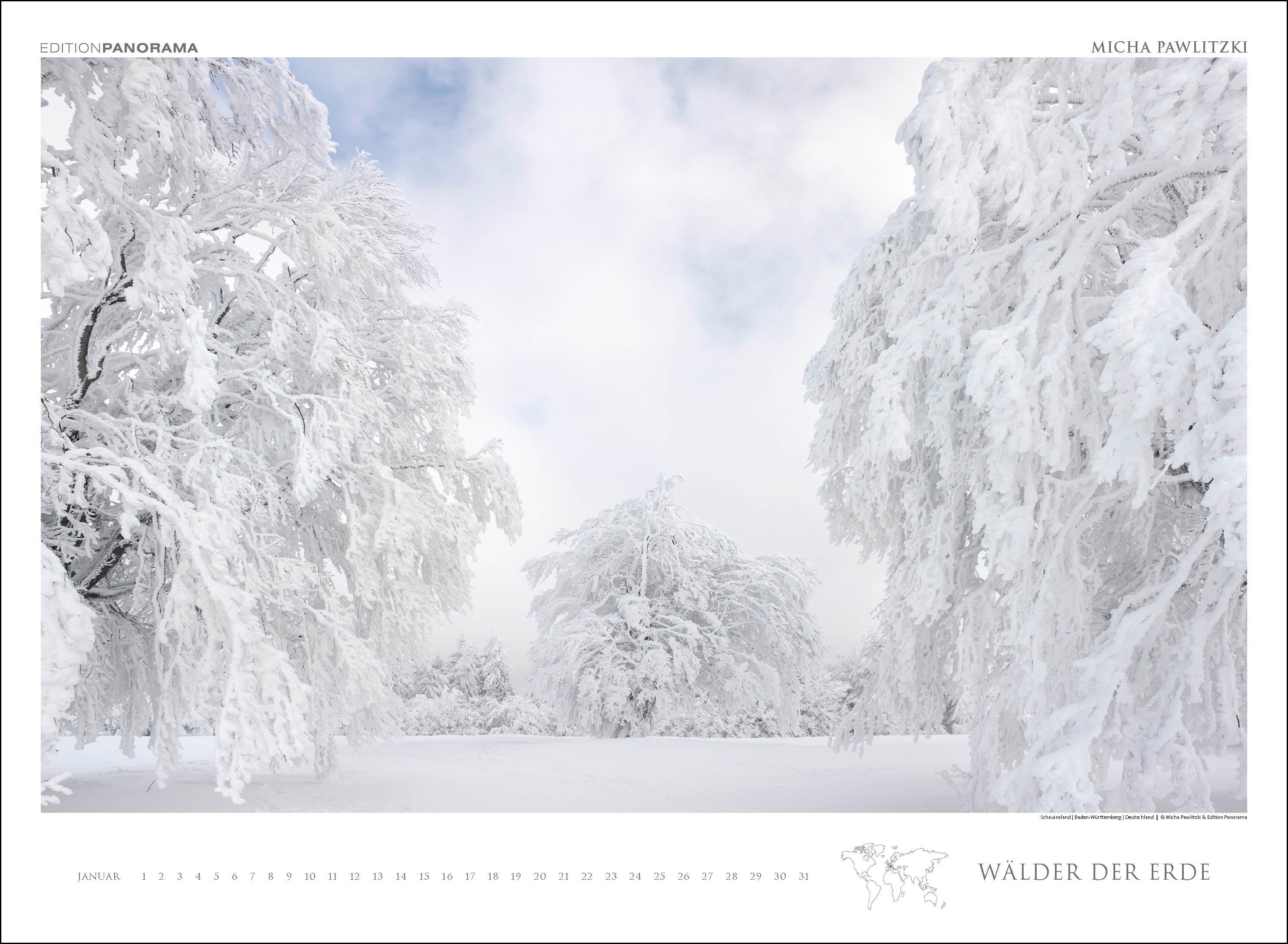 Beispielinhalt (Bild) WÄLDER DER ERDE