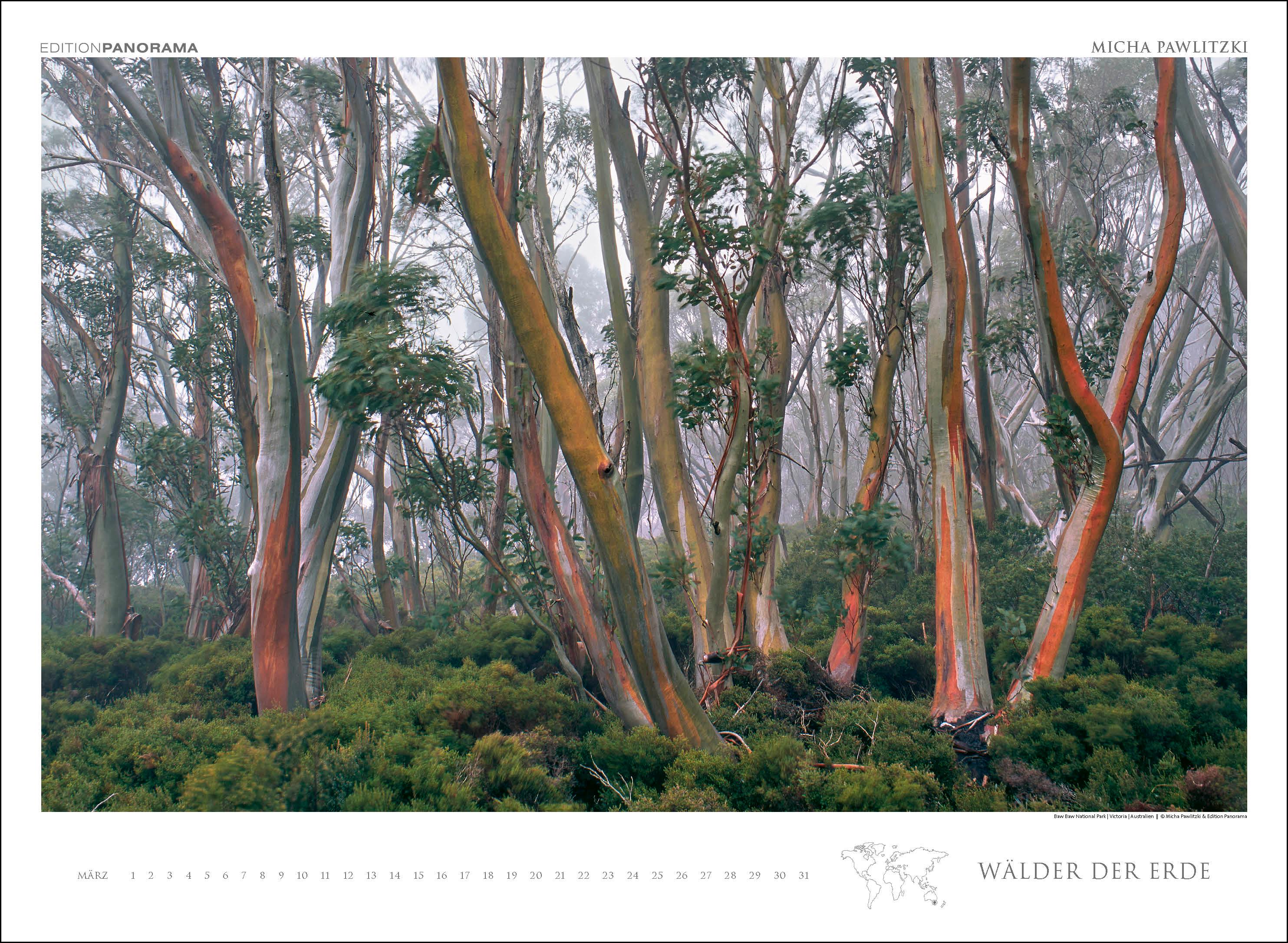 Beispielinhalt (Bild) WÄLDER DER ERDE