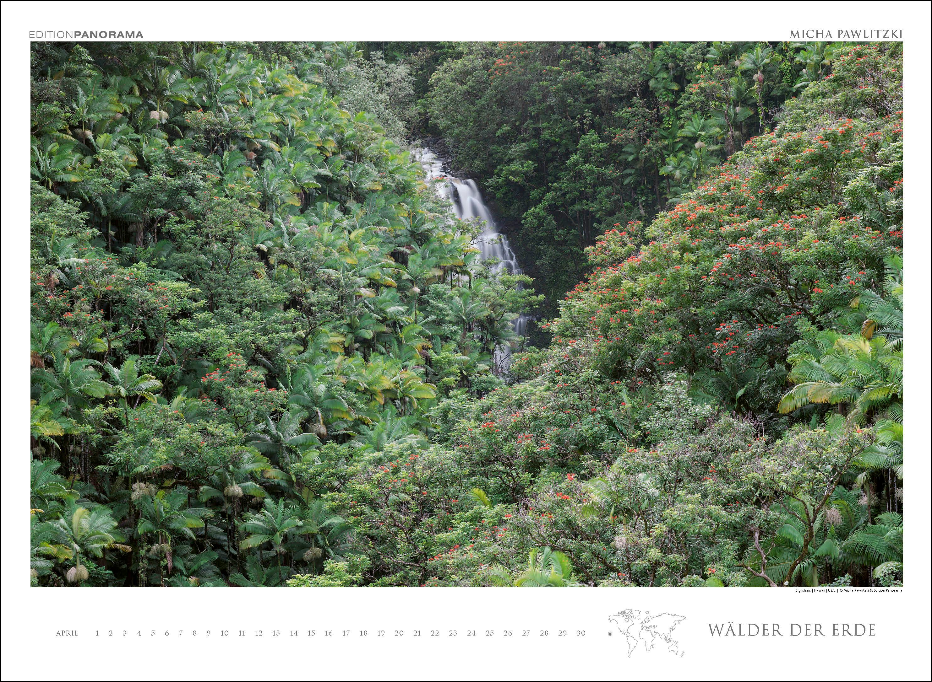 Beispielinhalt (Bild) WÄLDER DER ERDE