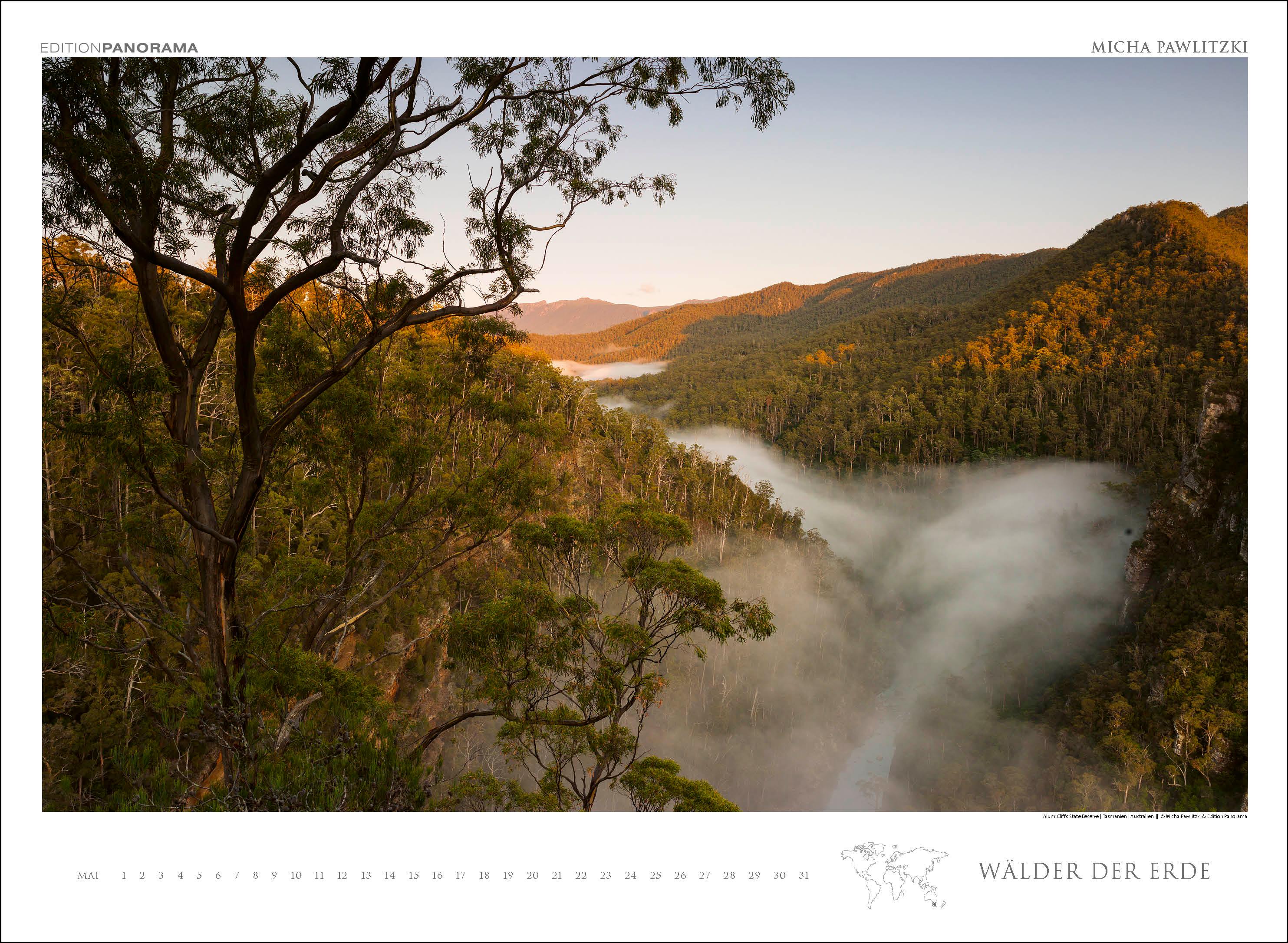Beispielinhalt (Bild) WÄLDER DER ERDE