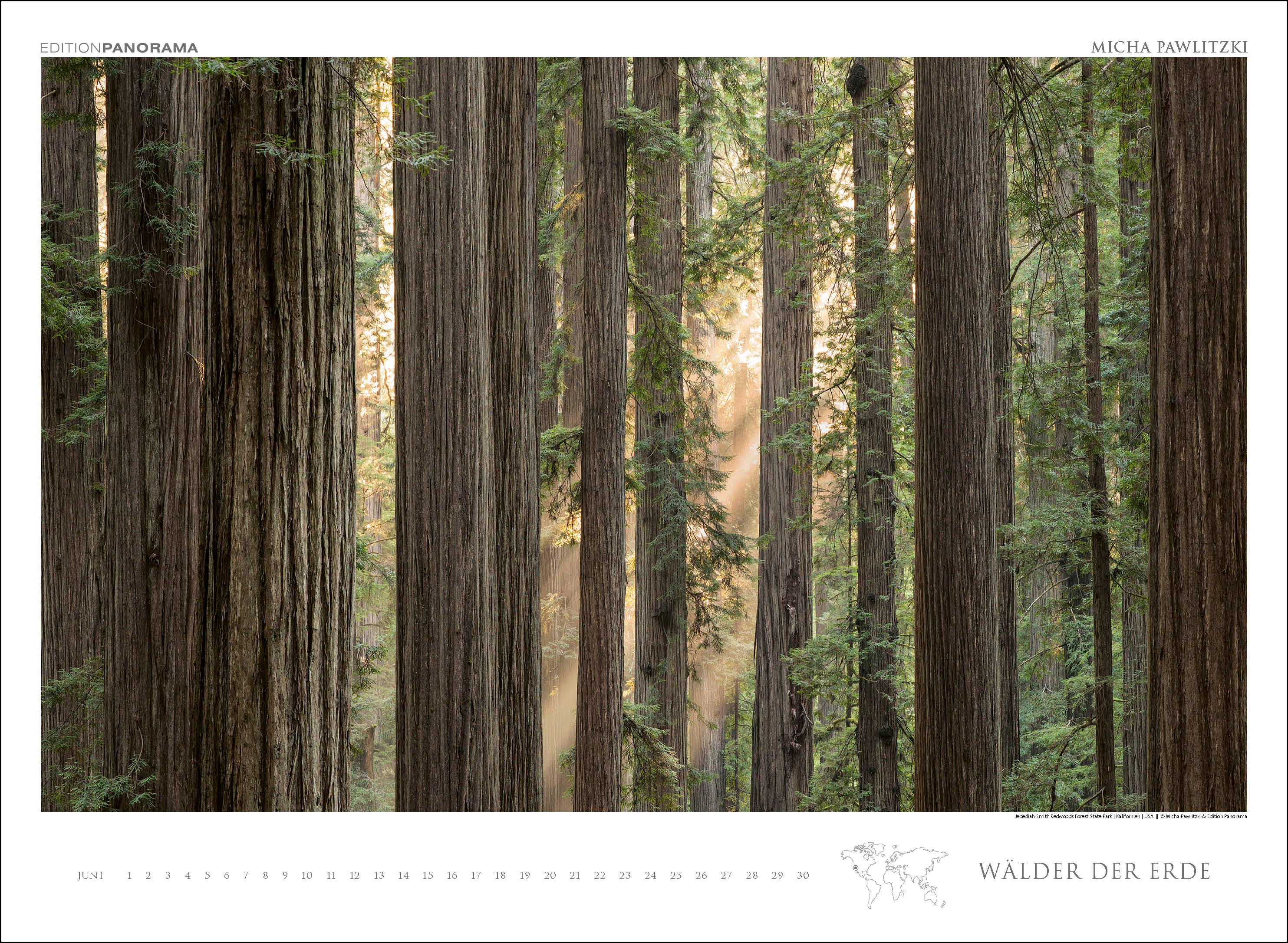 Beispielinhalt (Bild) WÄLDER DER ERDE