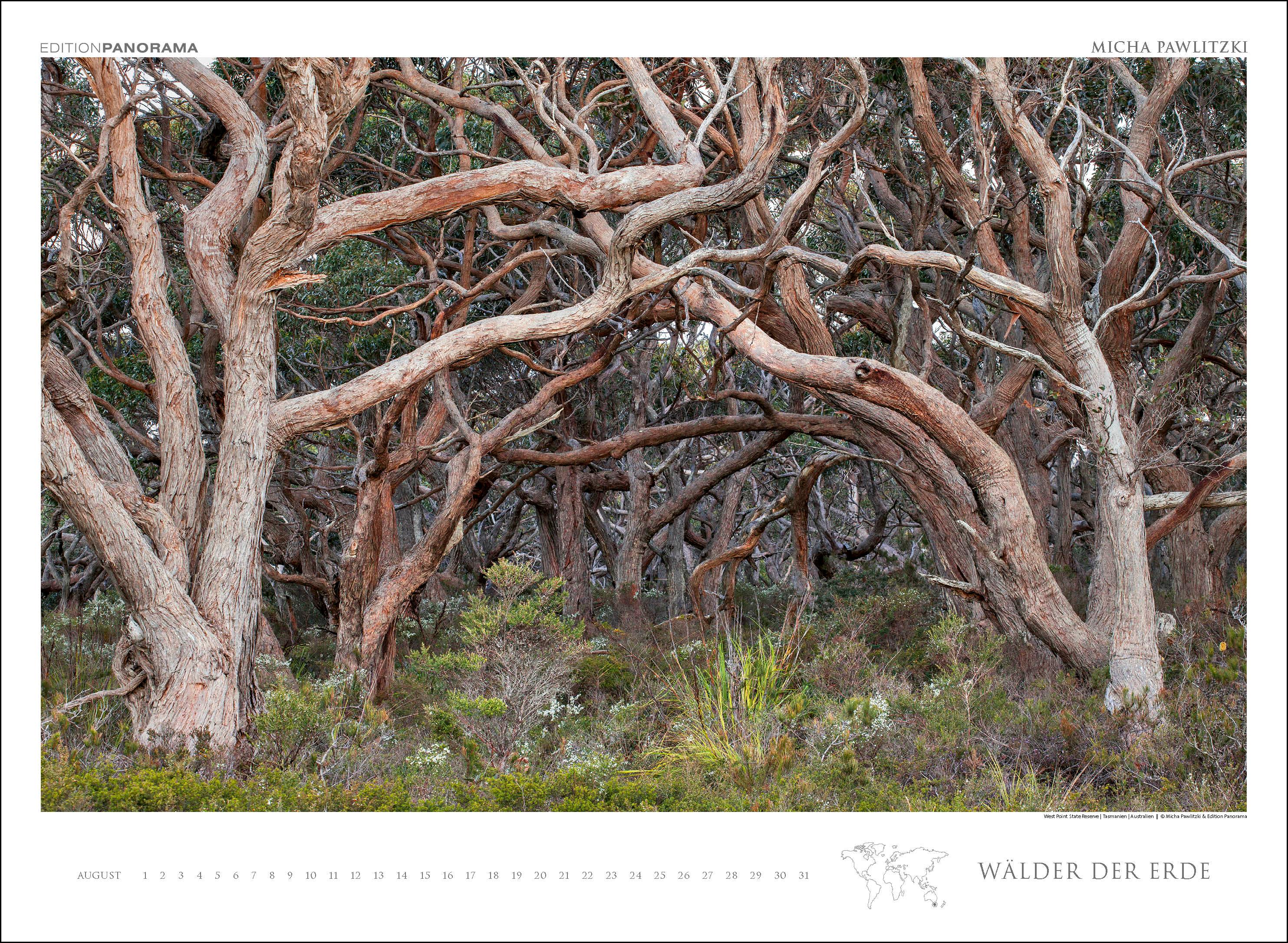 Beispielinhalt (Bild) WÄLDER DER ERDE