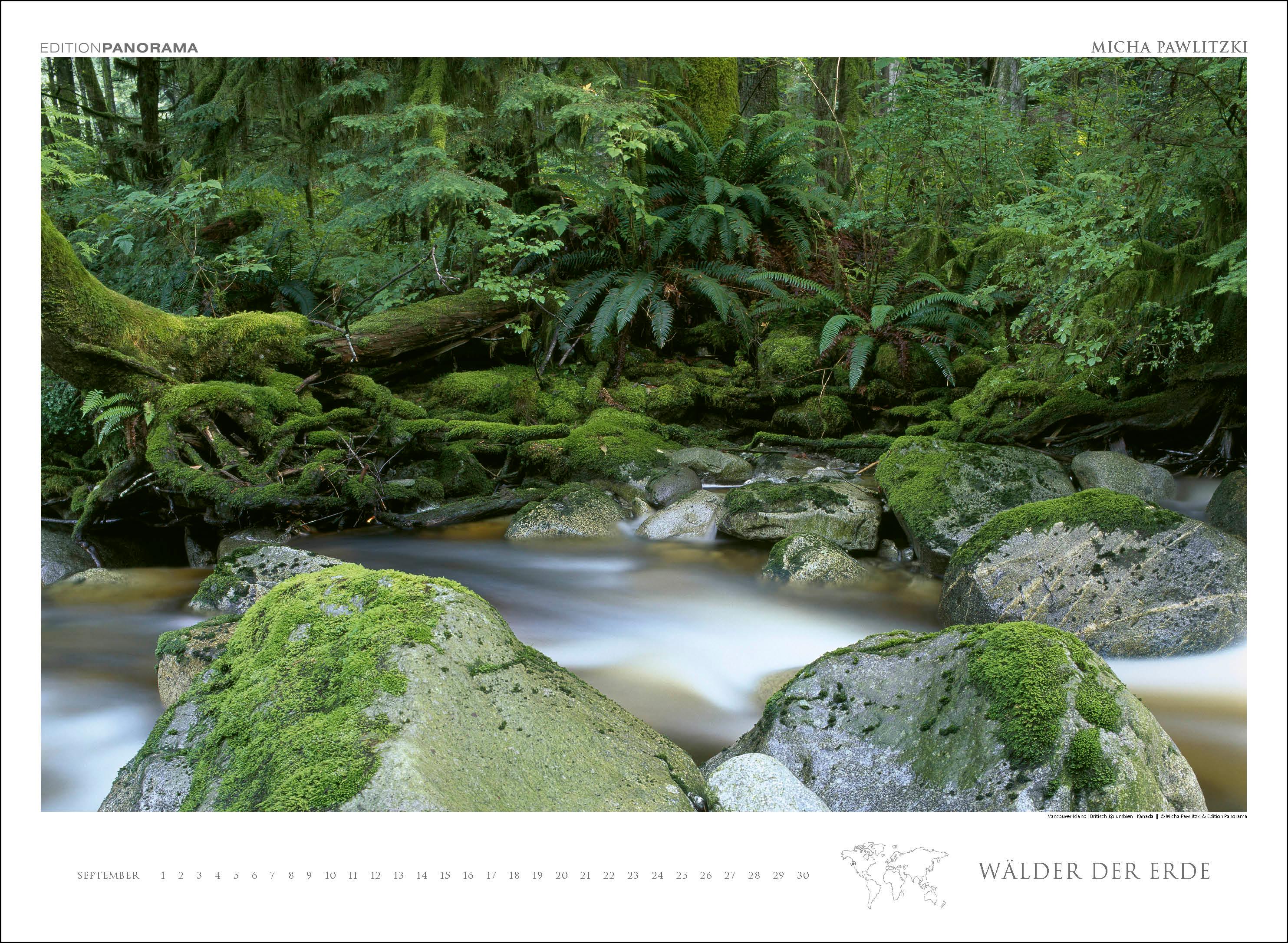 Beispielinhalt (Bild) WÄLDER DER ERDE