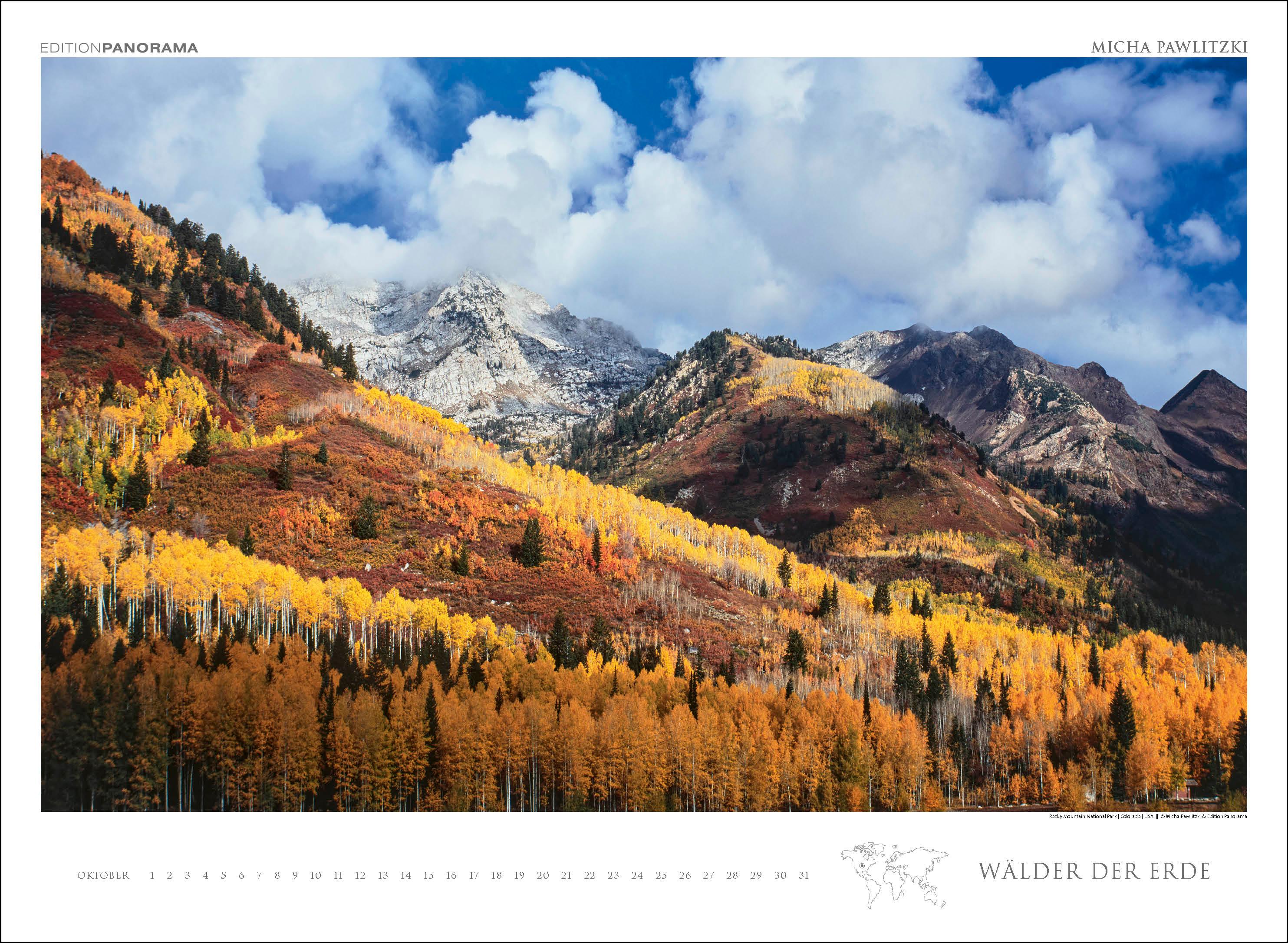 Beispielinhalt (Bild) WÄLDER DER ERDE