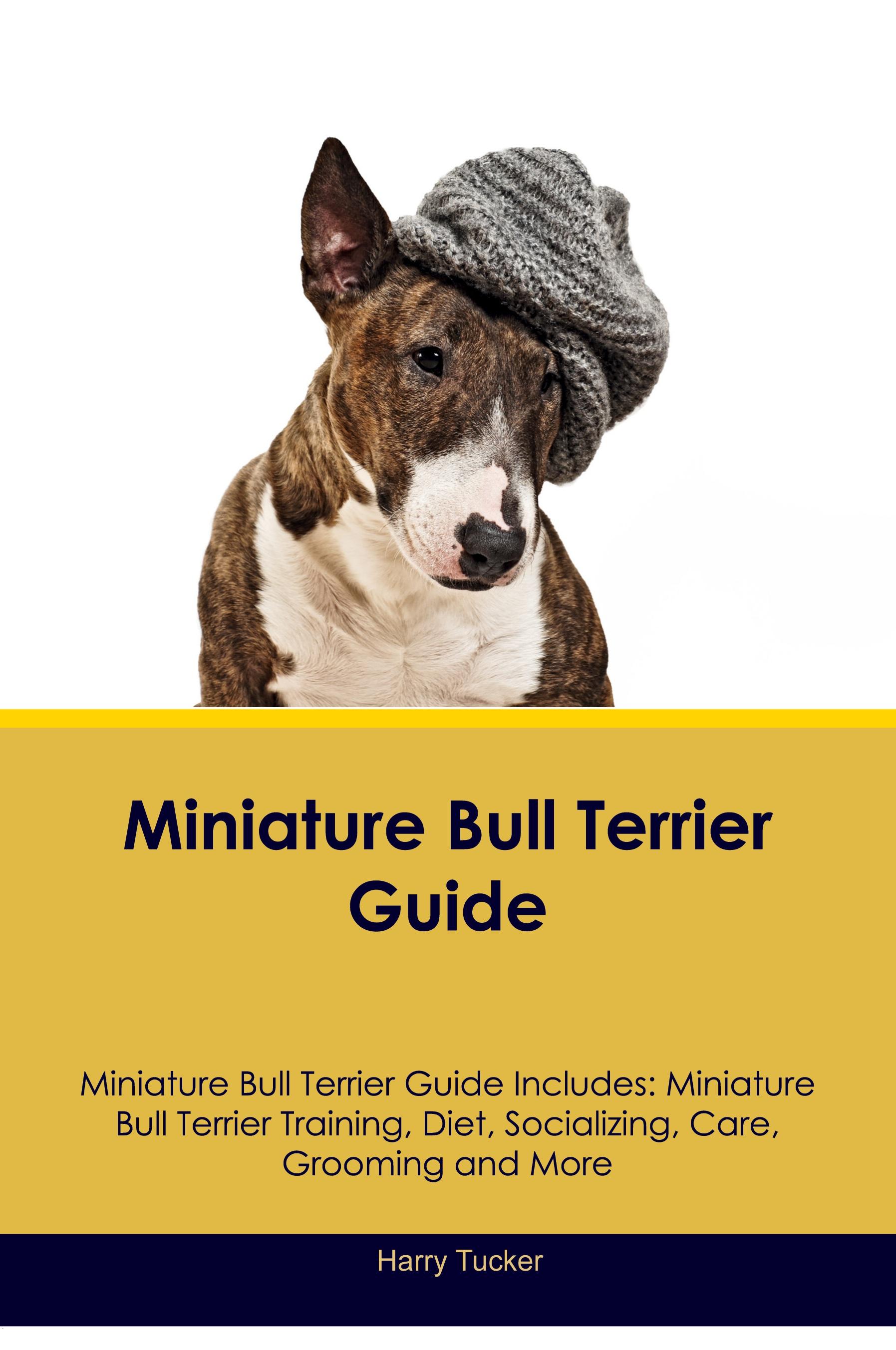 Vorderes Coverbild Miniature Bull Terrier Guide Miniature Bull Terrier Guide Includes