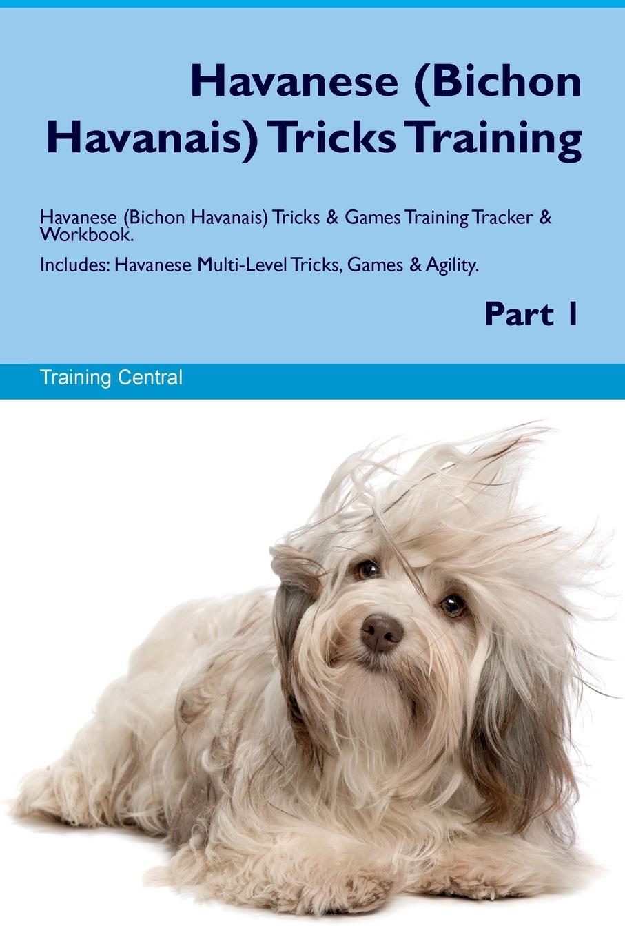 Vorderes Coverbild Havanese (Bichon Havanais) Tricks  Training  Havanese Tricks & Games Training Tracker &  Workbook.  Includes