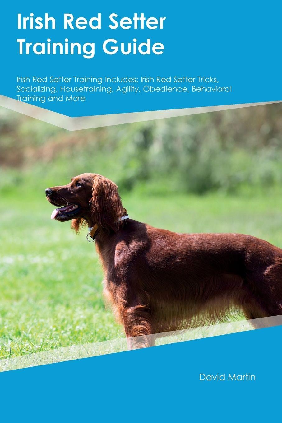 Vorderes Coverbild Irish Red Setter Training Guide Irish Red Setter Training Includes