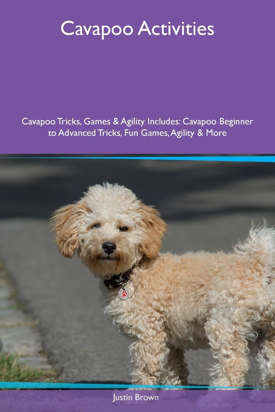 Vorderes Coverbild Cavapoo Activities  Cavapoo Tricks, Games & Agility Includes