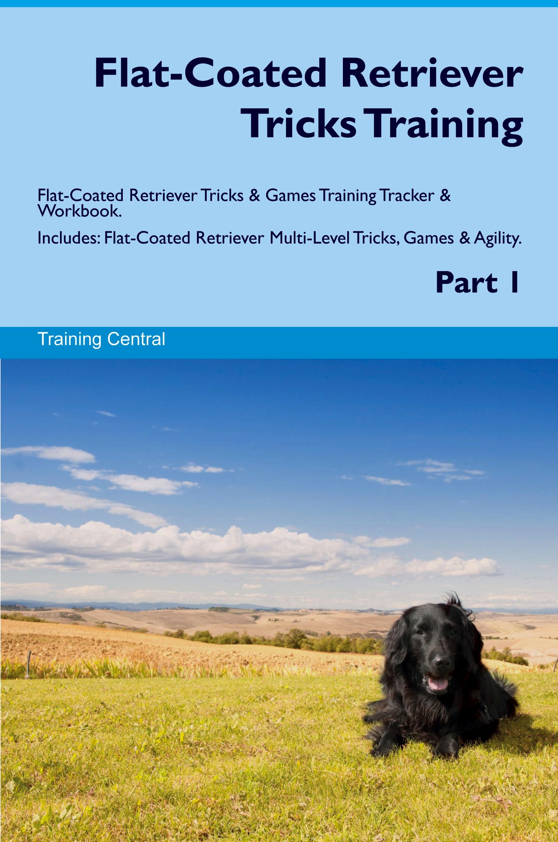 Vorderes Coverbild Flat-Coated Retriever Tricks Training Flat-Coated Retriever Tricks & Games Training Tracker  & Workbook.  Includes