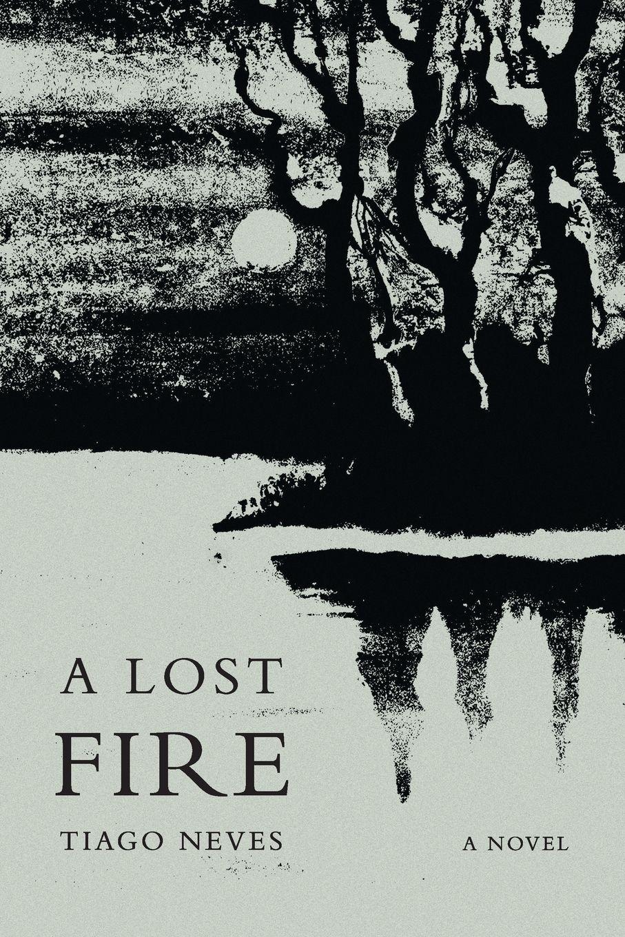 Vorderes Coverbild A Lost Fire
