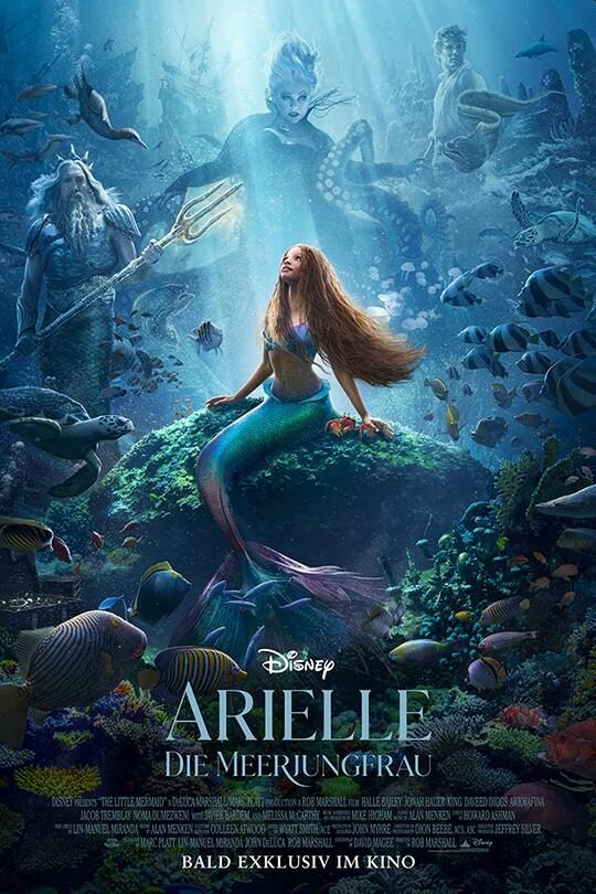 Vorderes Coverbild Arielle, die Meerjungfrau