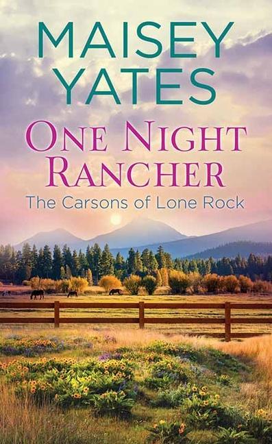 Vorderes Coverbild One Night Rancher