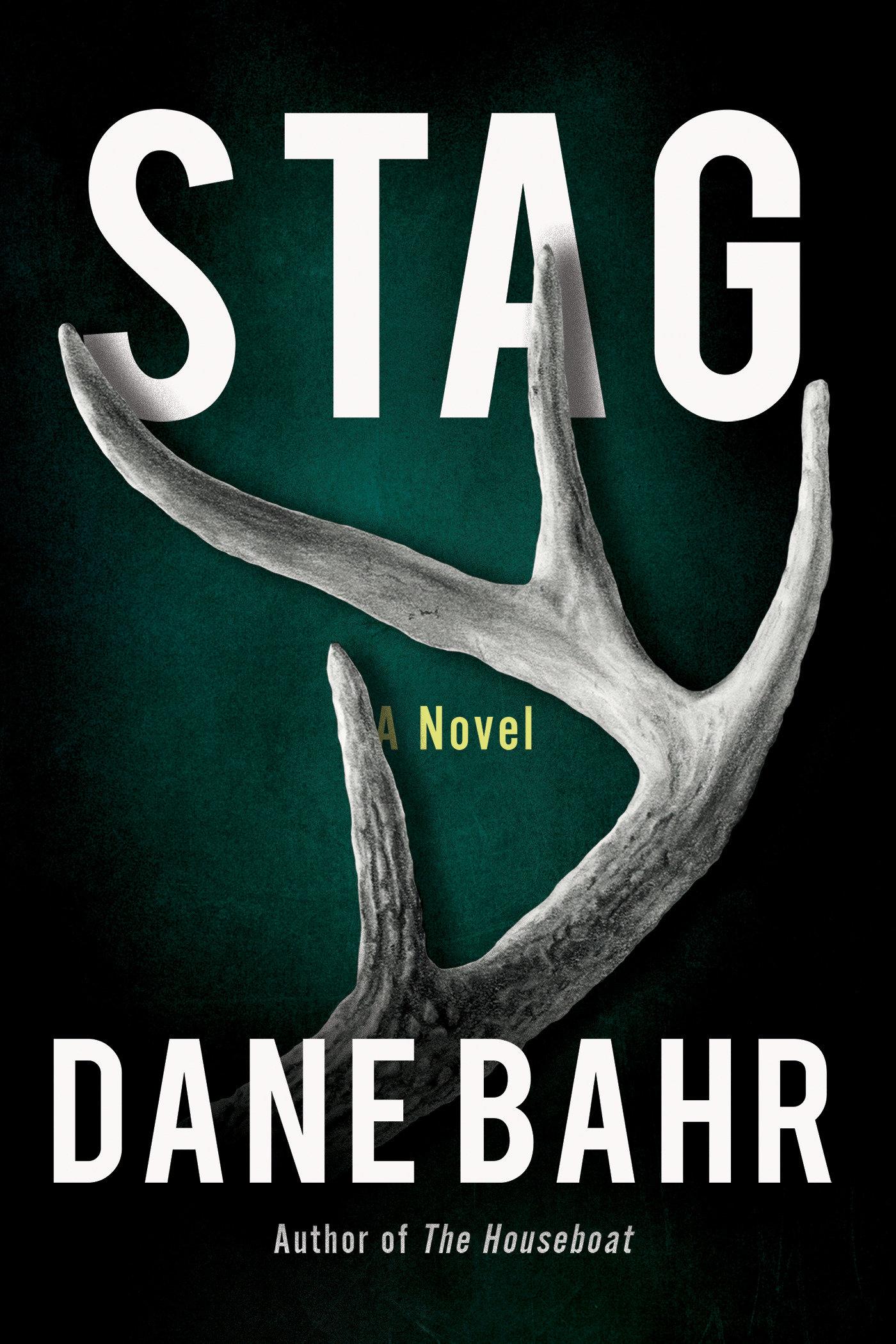 Vorderes Coverbild Stag