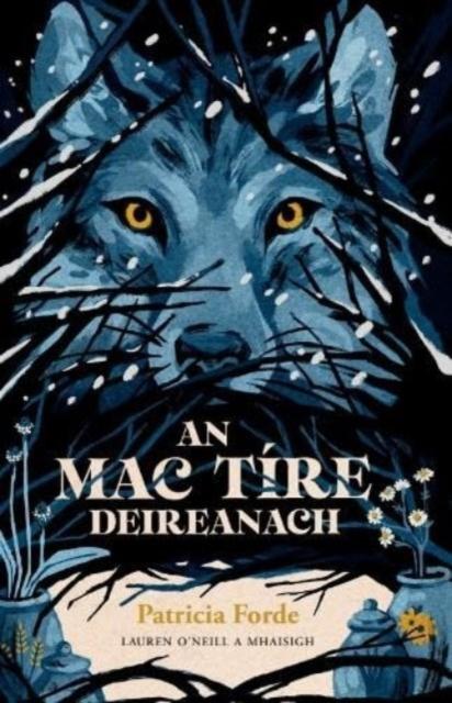 Vorderes Coverbild An Mac Tire Deireanach