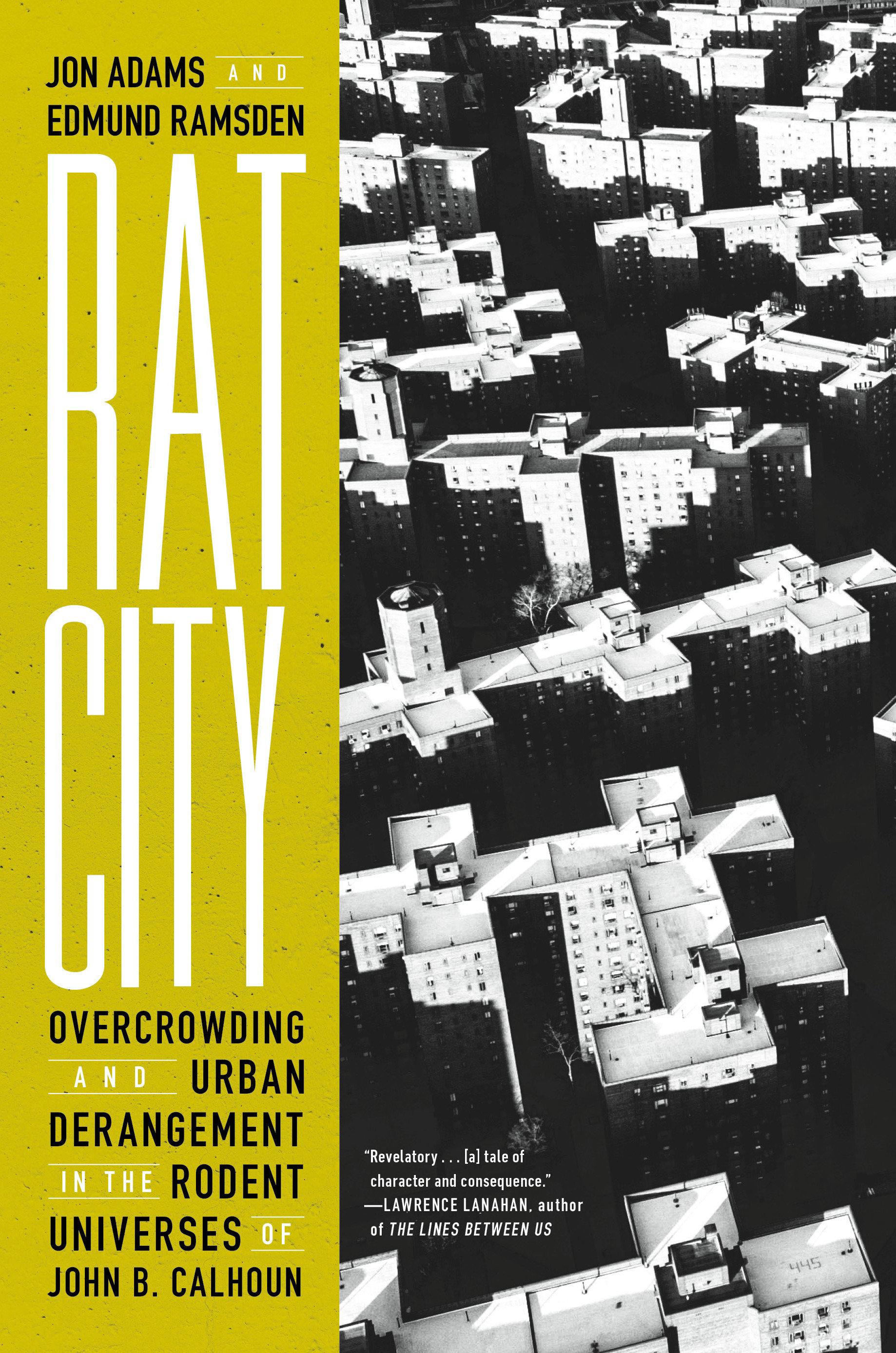 Vorderes Coverbild Rat City