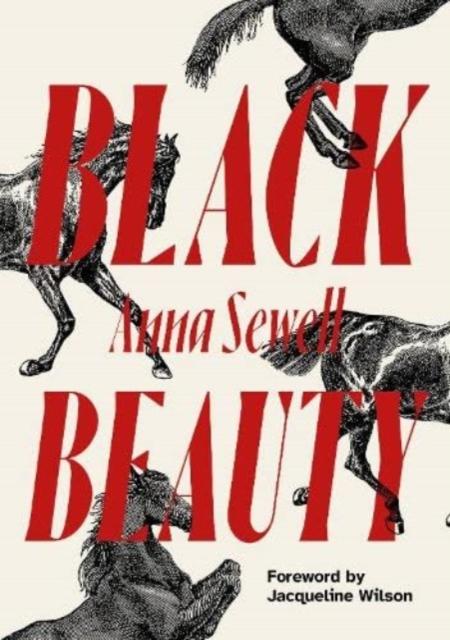 Vorderes Coverbild Black Beauty