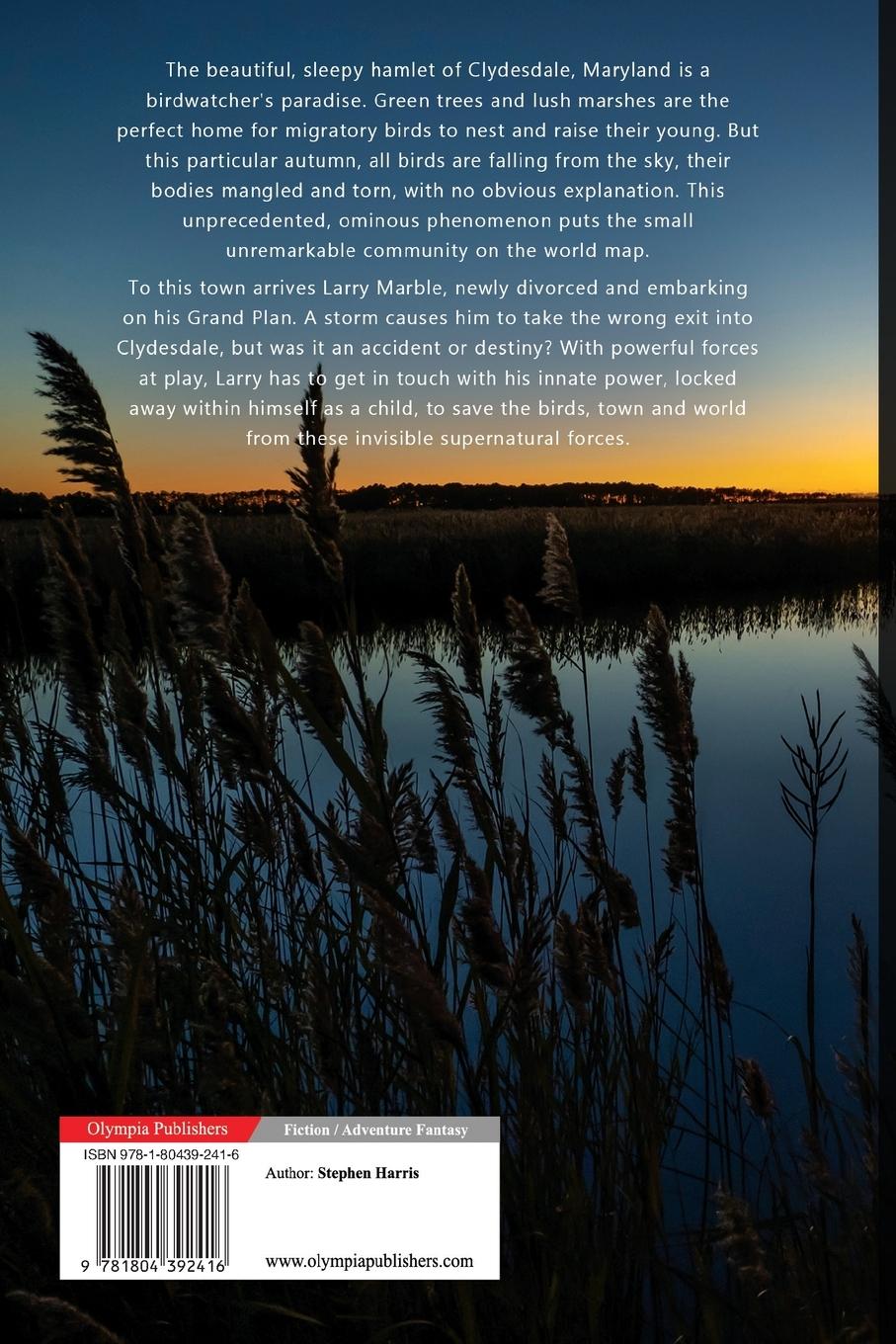 Rückseitencover Shooter Marble