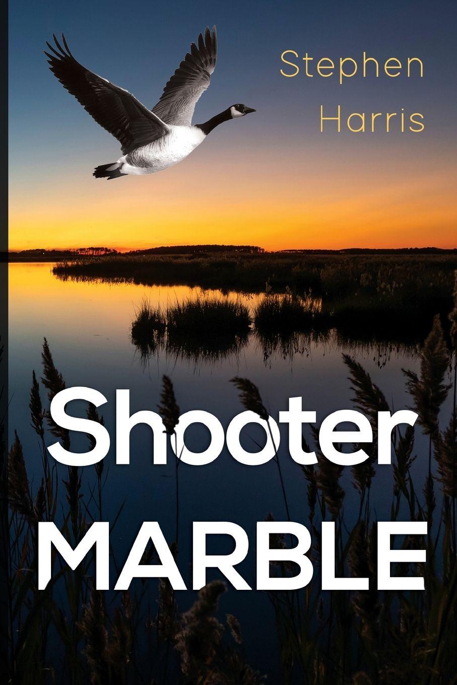 Vorderes Coverbild Shooter Marble