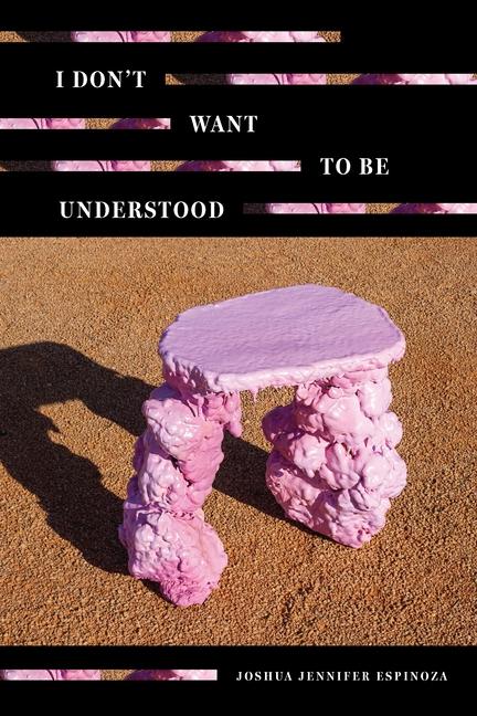 Vorderes Coverbild I Don't Want to Be Understood