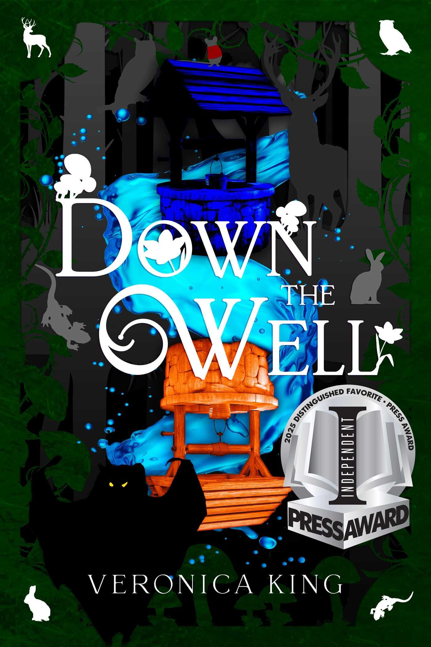 Vorderes Coverbild Down the Well