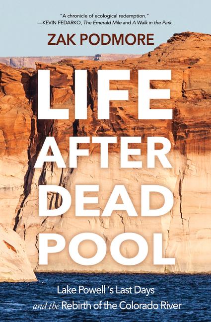 Vorderes Coverbild Life After Dead Pool
