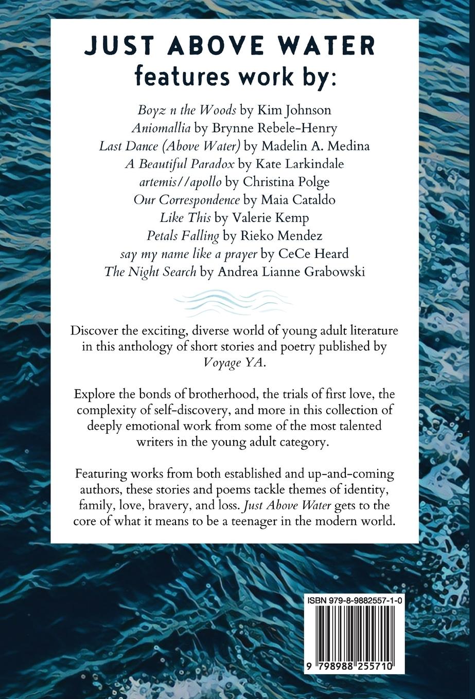 Rückseitencover Just Above Water