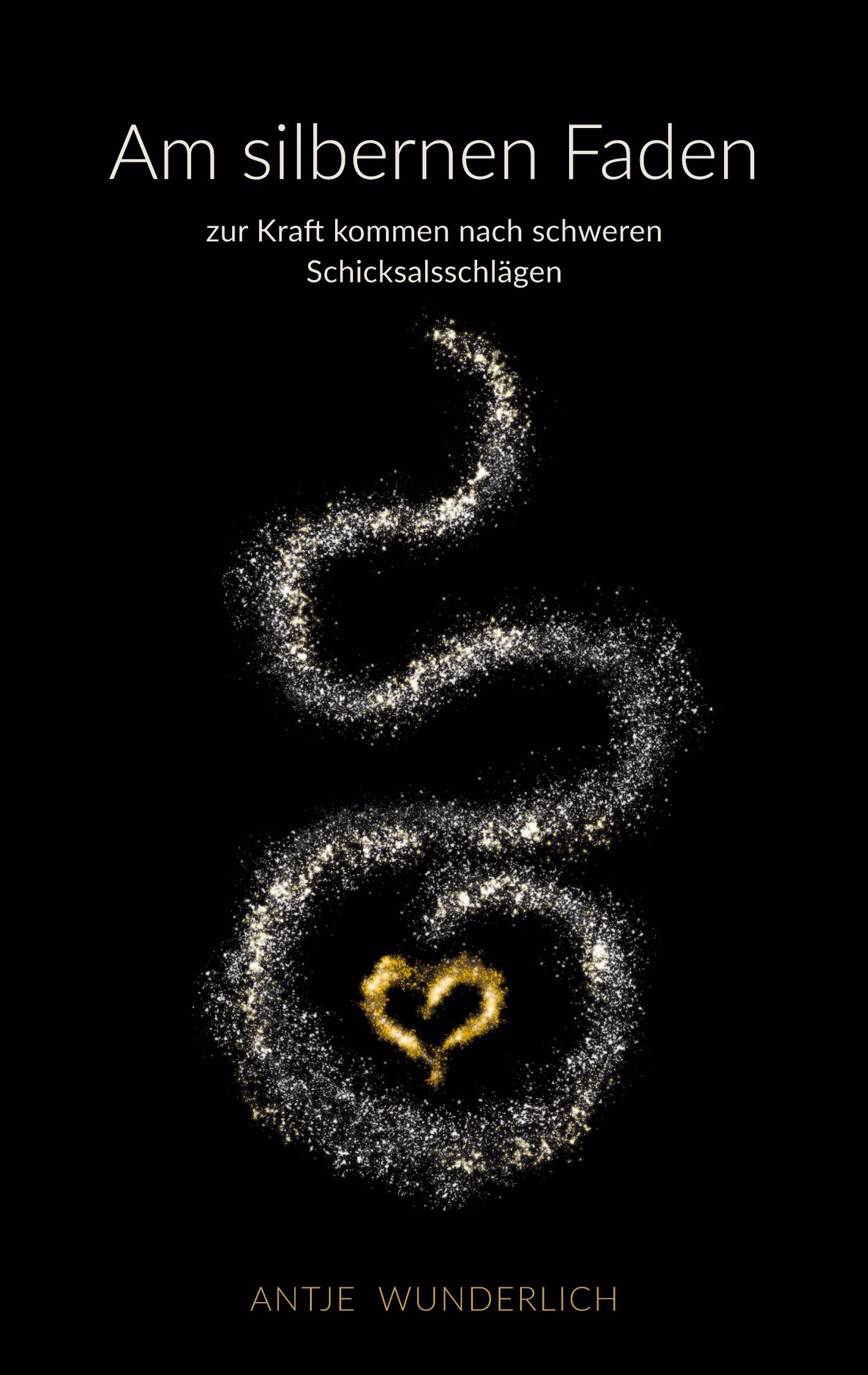 Vorderes Coverbild Am silbernen Faden