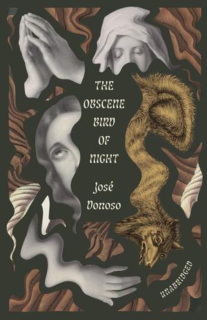 Vorderes Coverbild The Obscene Bird of Night