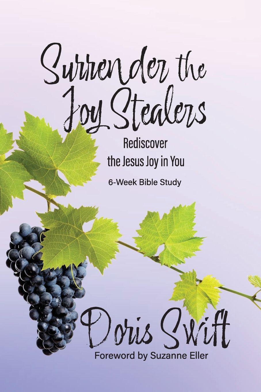 Vorderes Coverbild Surrender the Joy Stealers