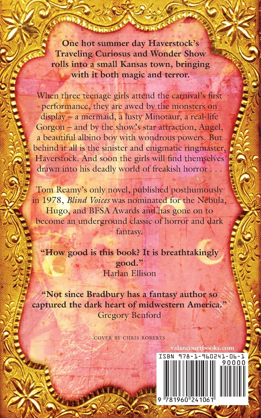 Rückseitencover Blind Voices