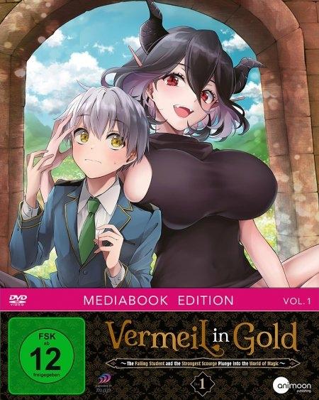 Vorderes Coverbild Vermeil in Gold