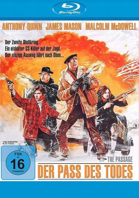 Vorderes Coverbild Der Pass des Todes