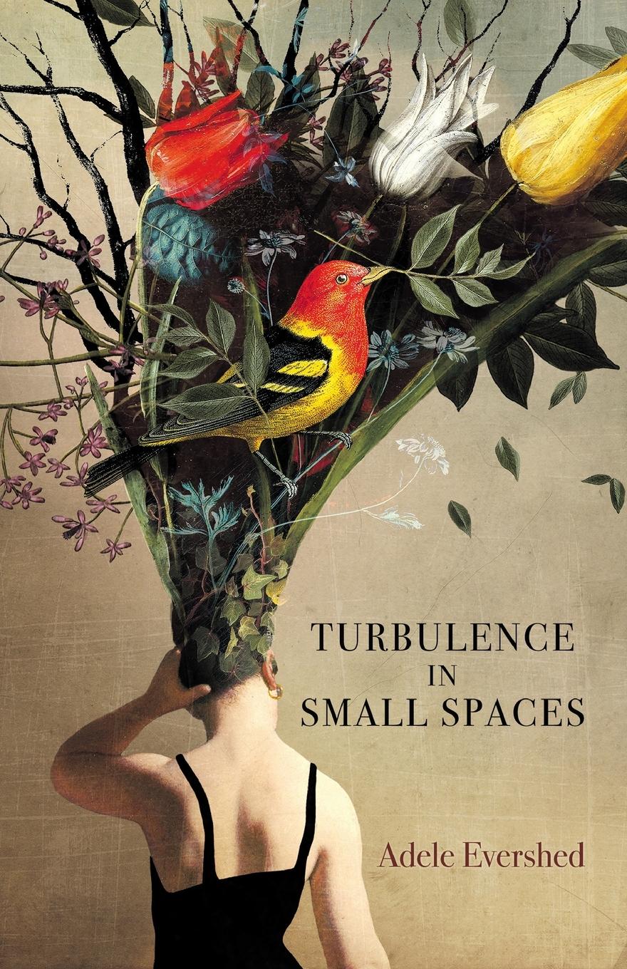Vorderes Coverbild Turbulence in Small Spaces