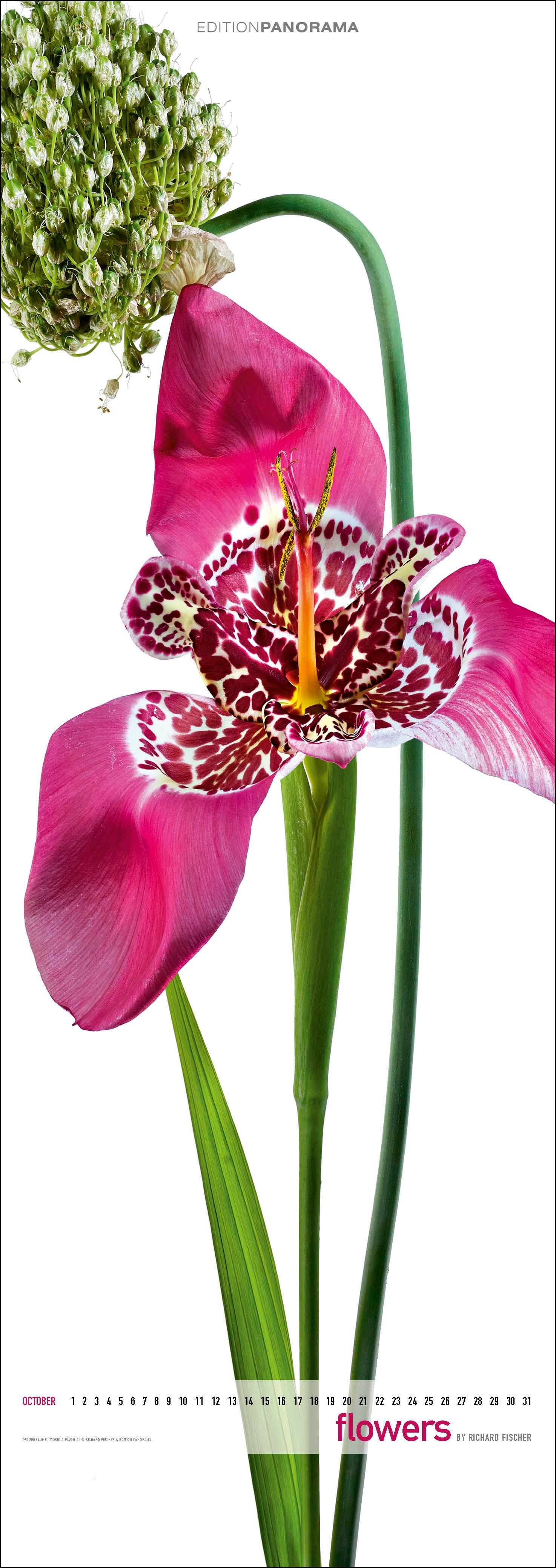 Beispielinhalt (Bild) Flowers