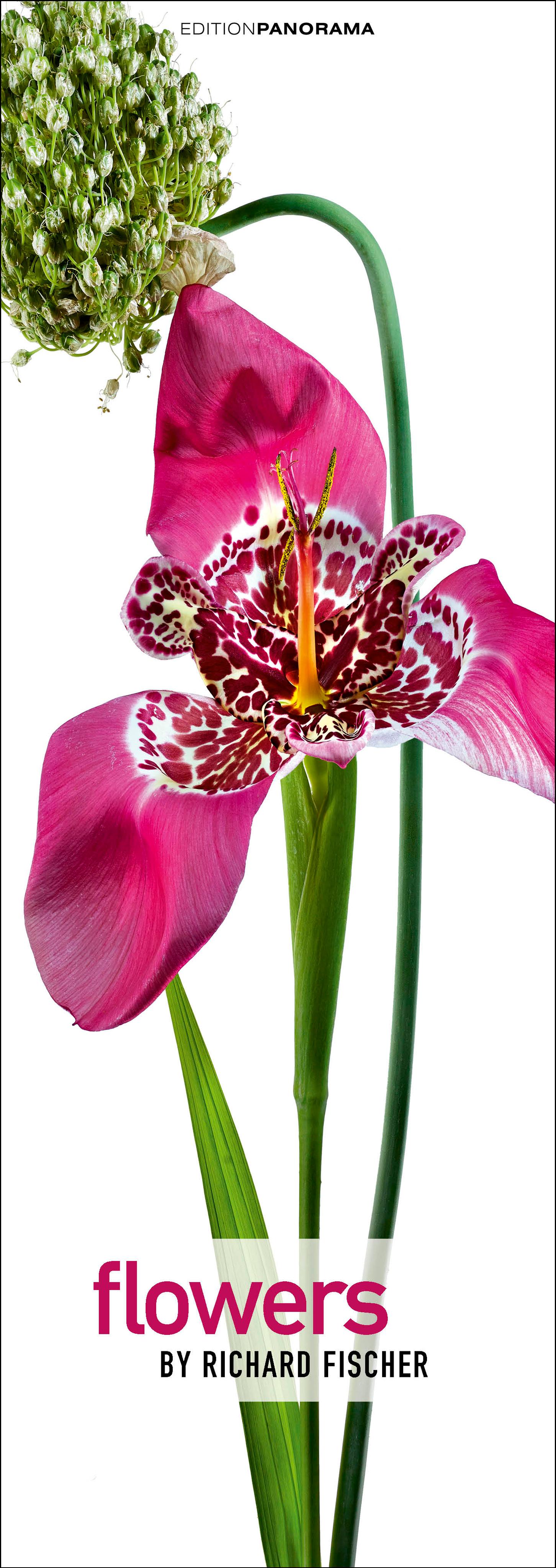Vorderes Coverbild Flowers