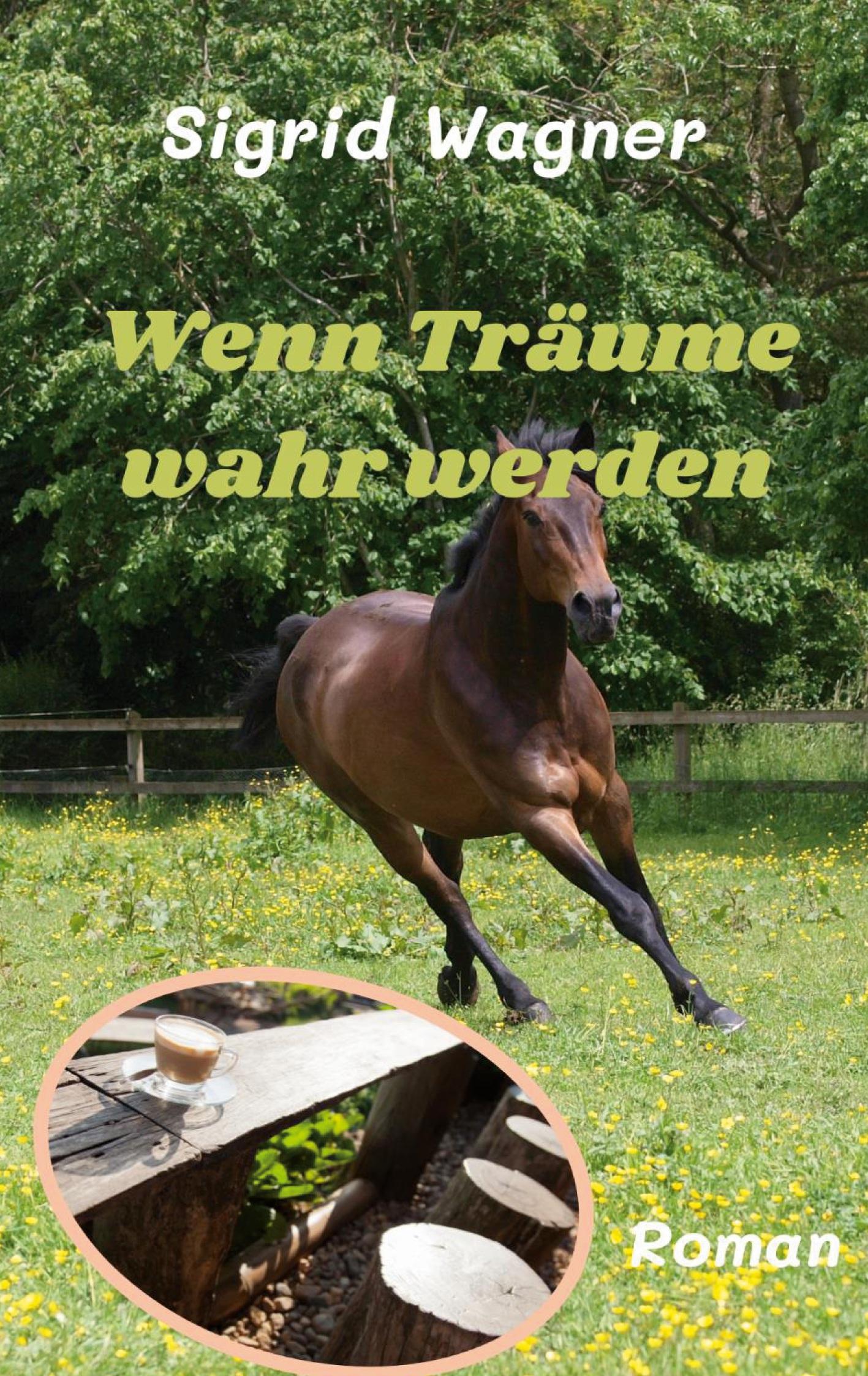 Vorderes Coverbild Wenn Träume wahr werden