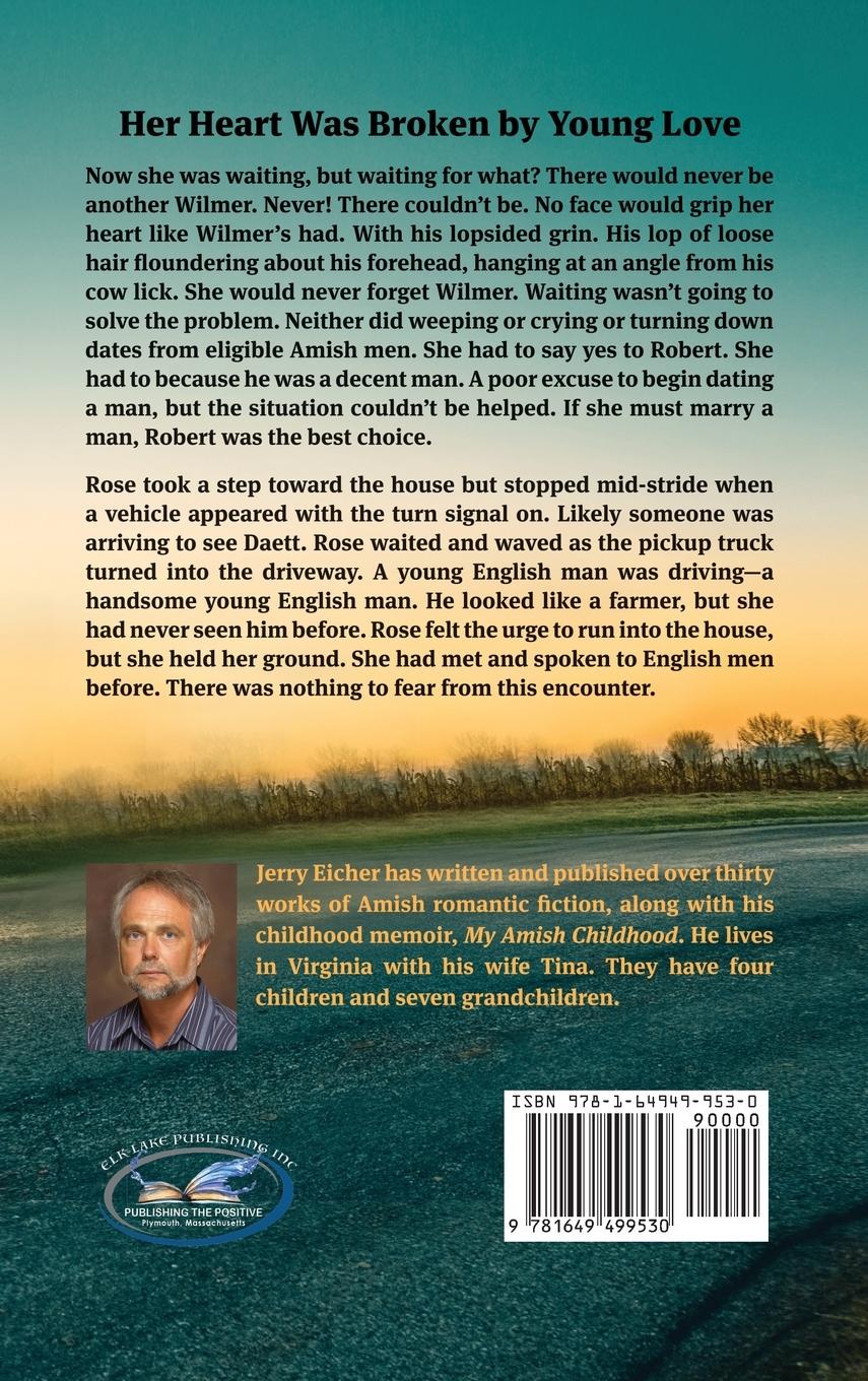 Rückseitencover An Amish Dilemma