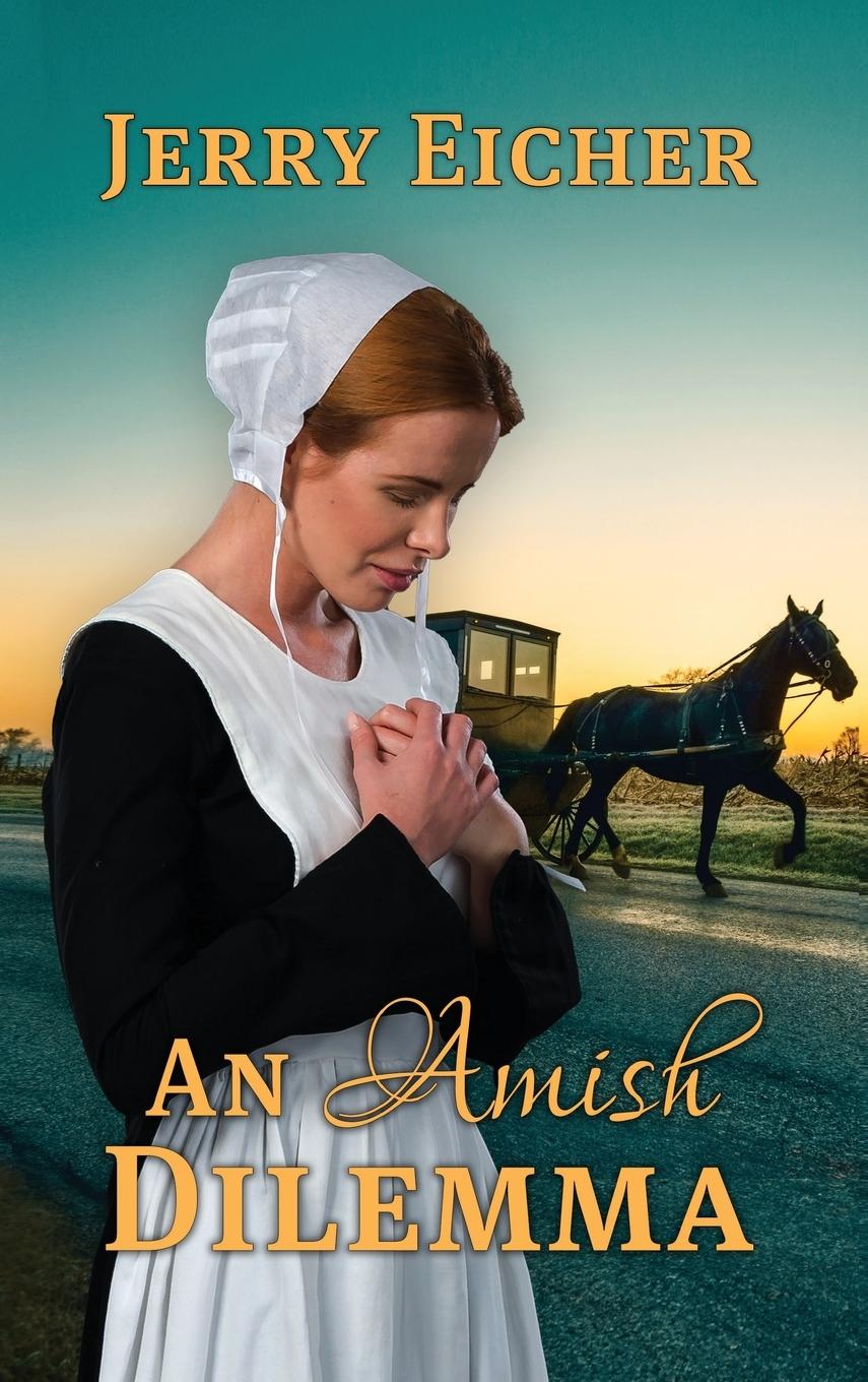 Vorderes Coverbild An Amish Dilemma