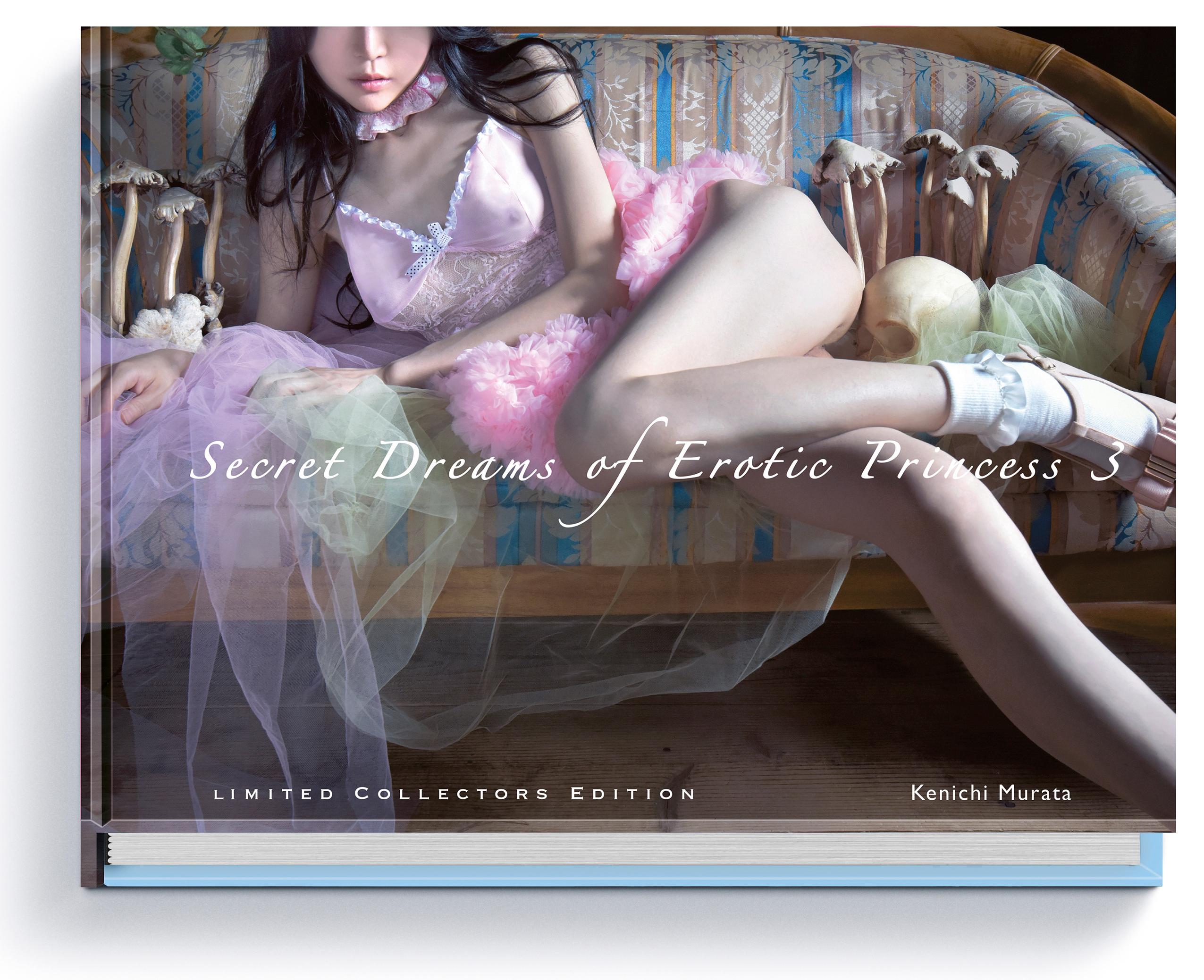 Vorderes Coverbild Secret Dreams of Erotic Princess 3