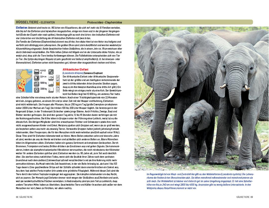 Beispielinhalt (Bild) Safari-Reiseführer Ostafrika