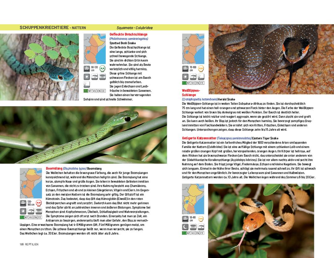 Beispielinhalt (Bild) Safari-Reiseführer Ostafrika